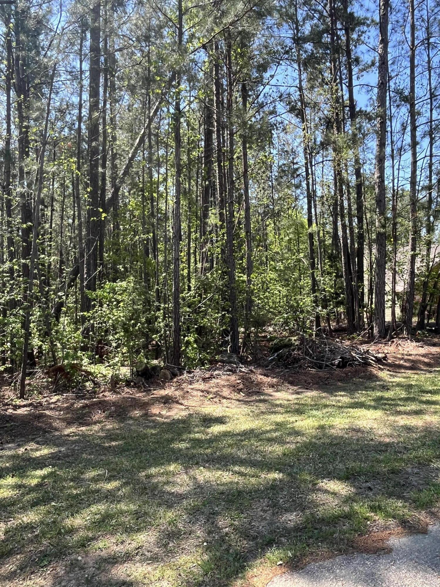 L14 B39 Antioch Drive, Mccormick, SC, 29835