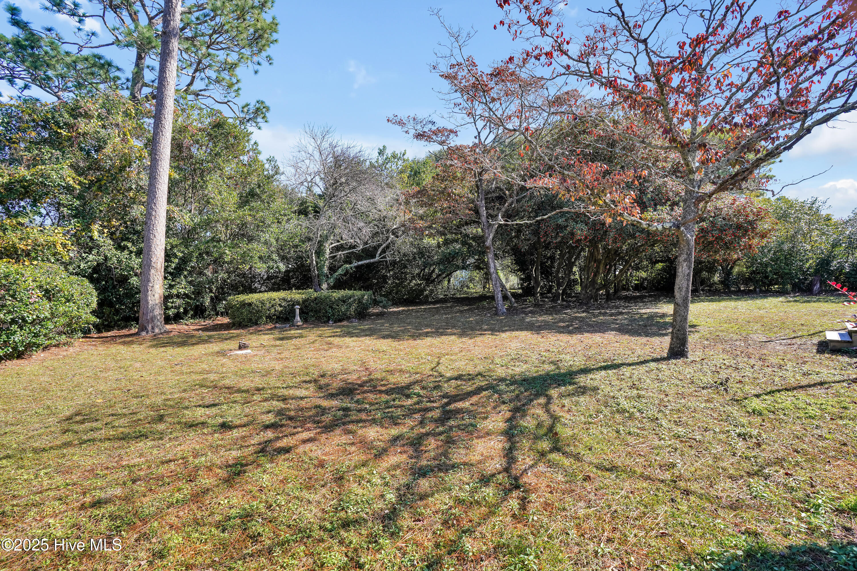 100539794 | Photo 37