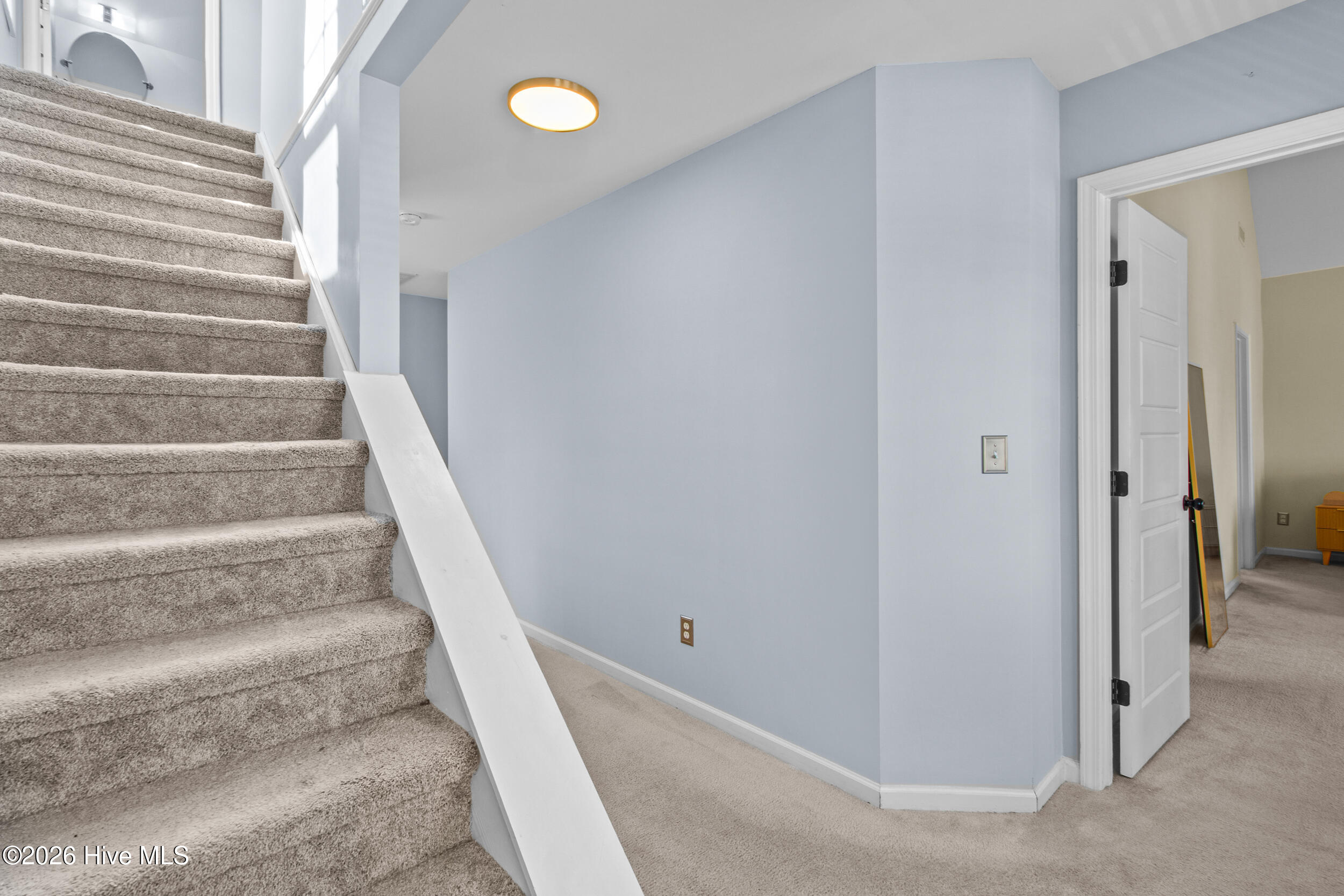 100554579 | Photo 29