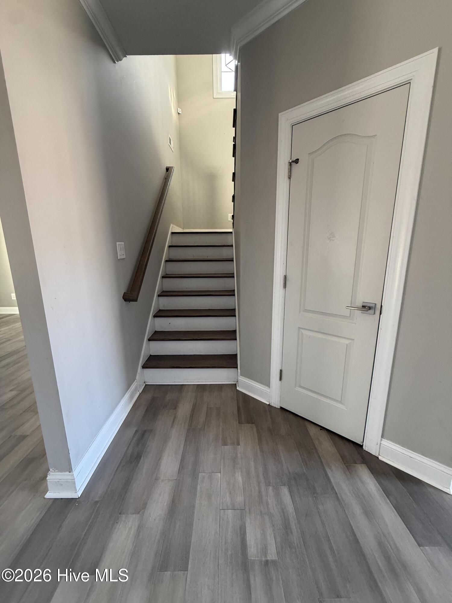 100551425 | Photo 13