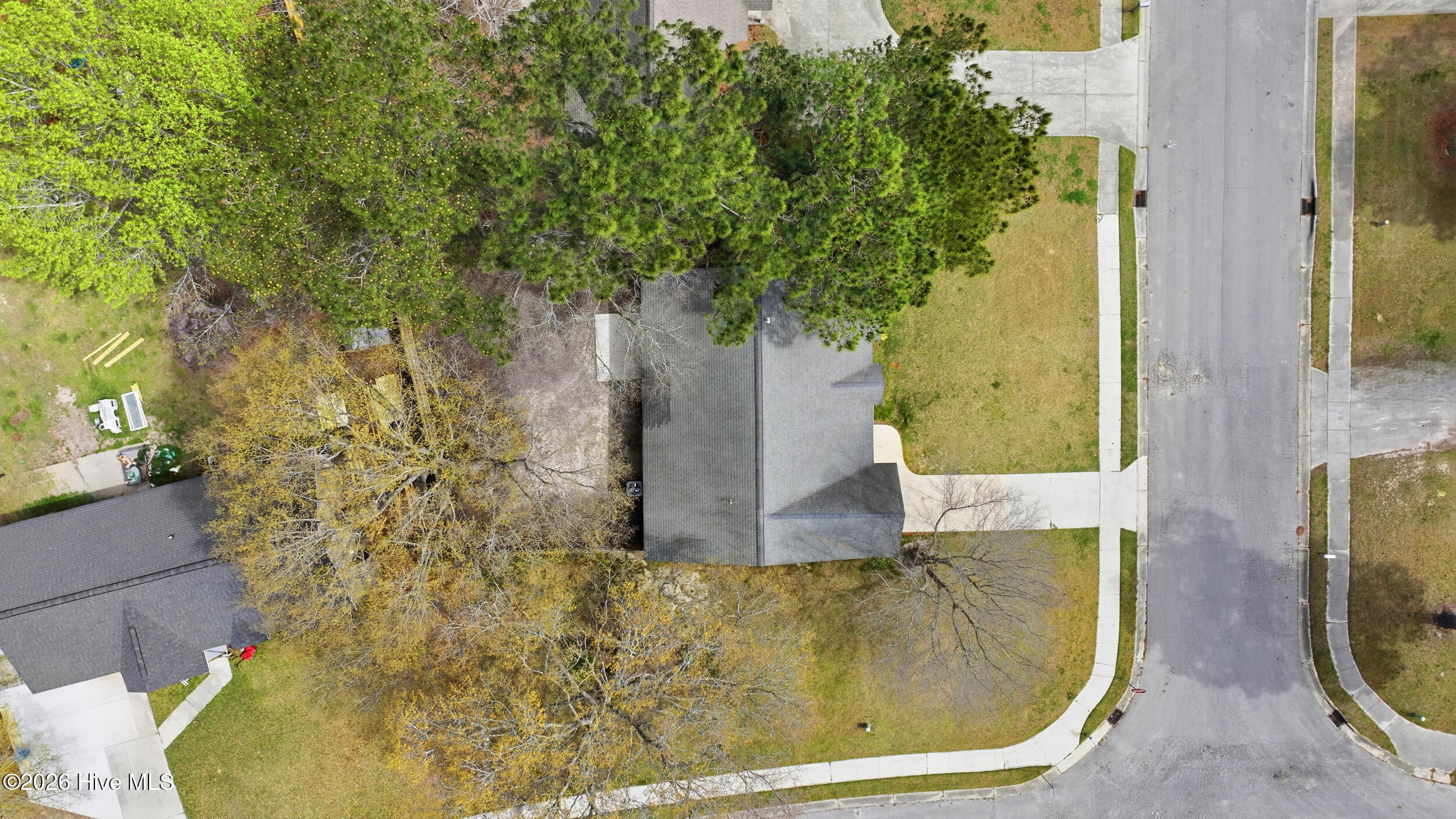 100562899 | Photo 29