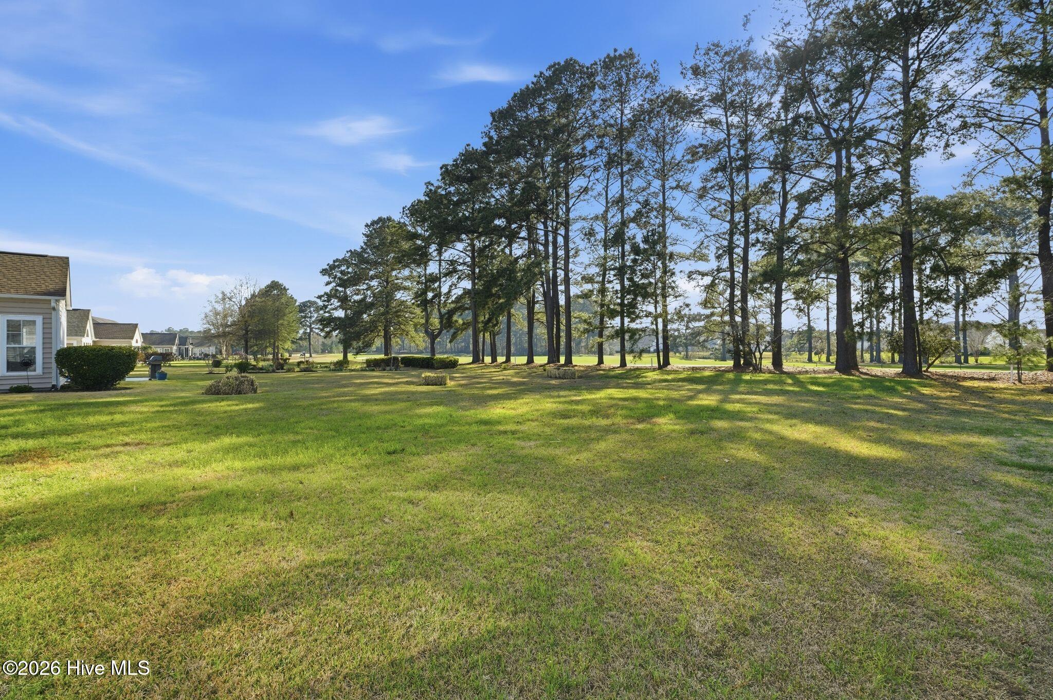 100560639 | Photo 43