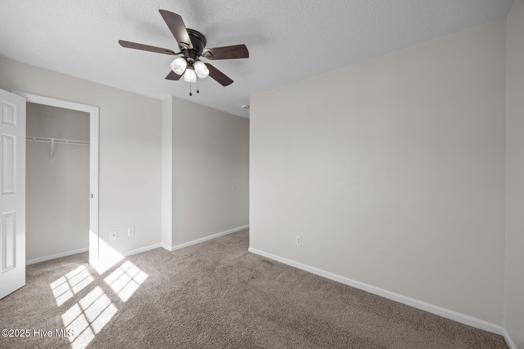 100562012 | Photo 13