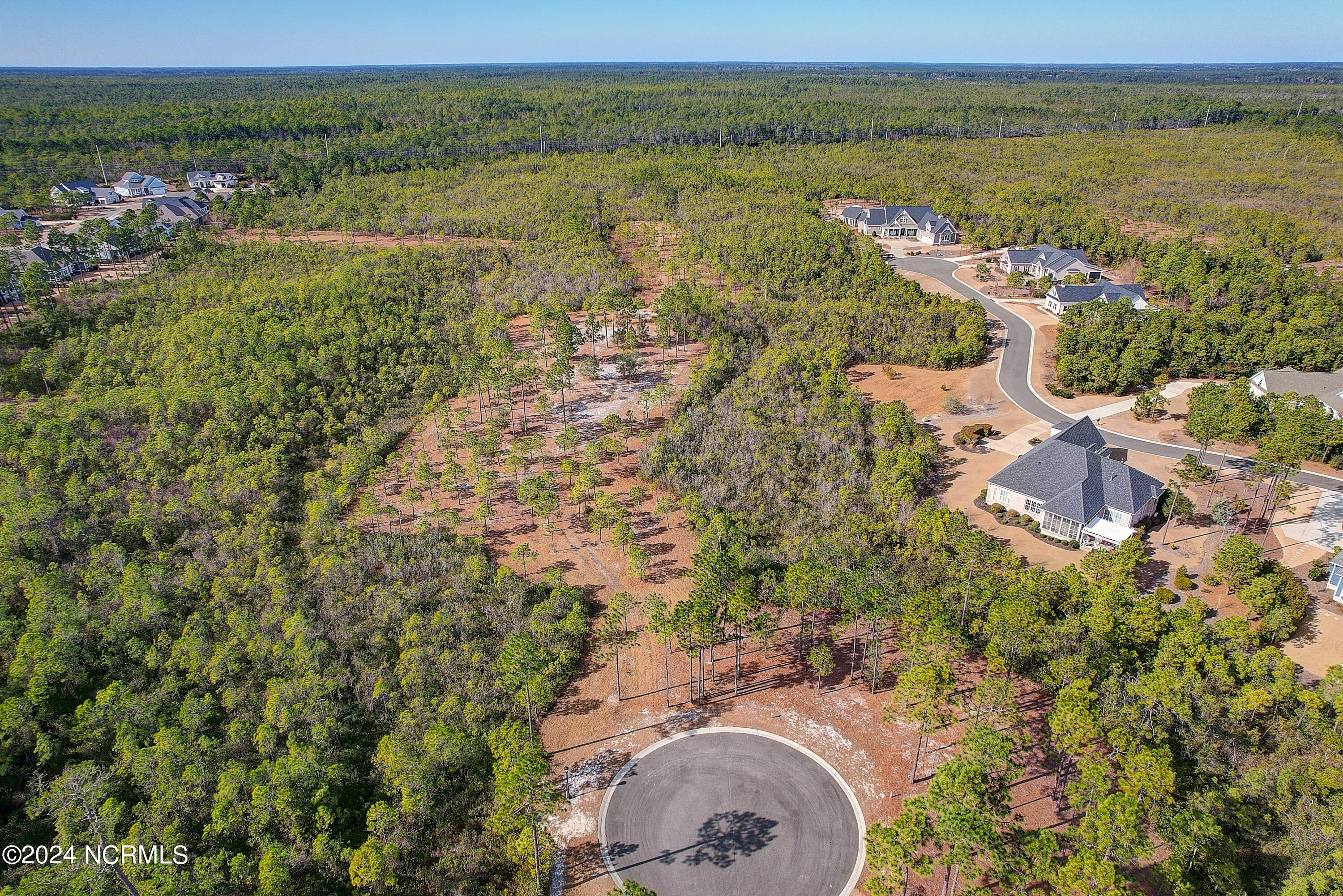 Carolina Barrier Islands