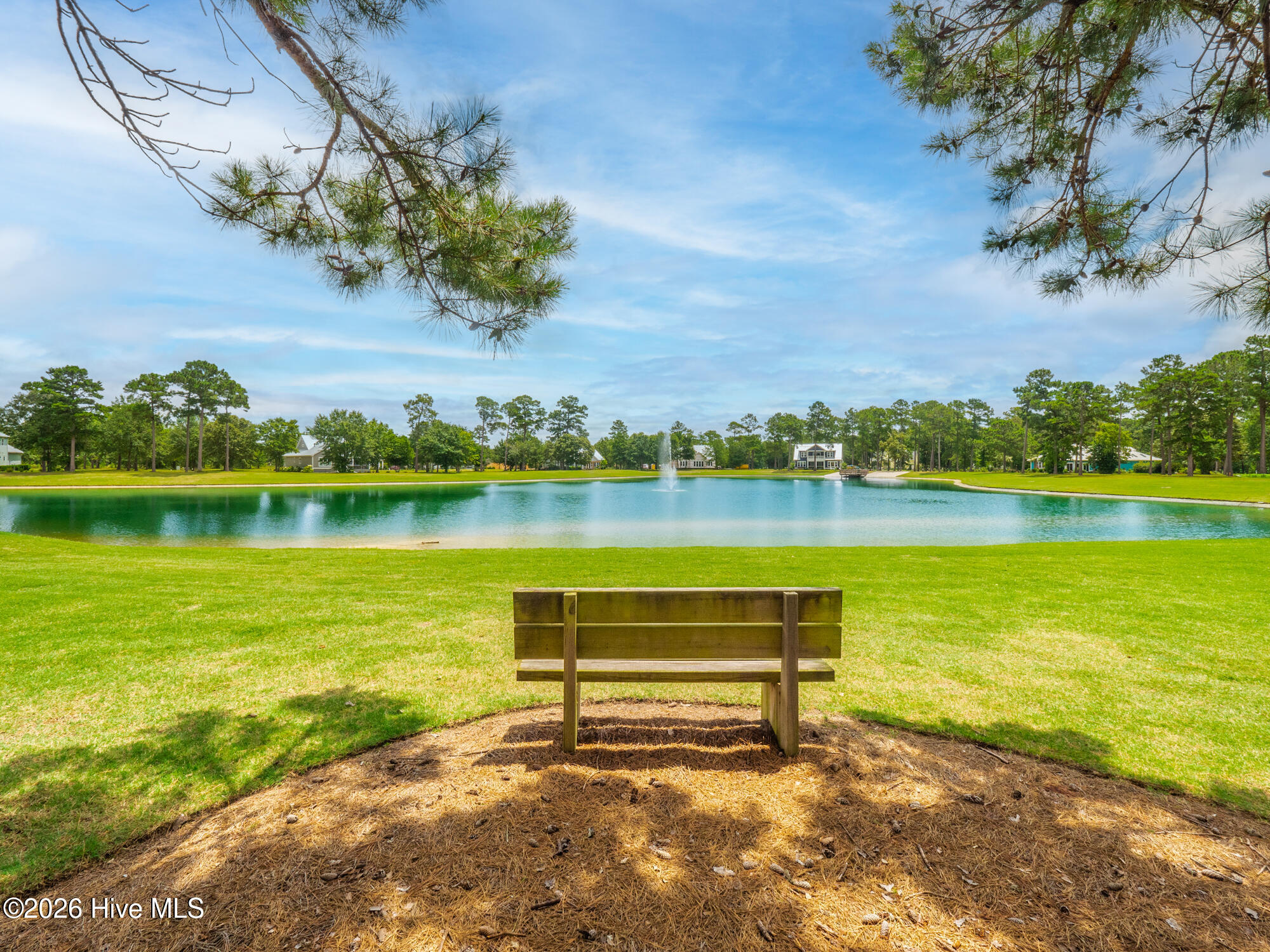 100567855 | Photo 67