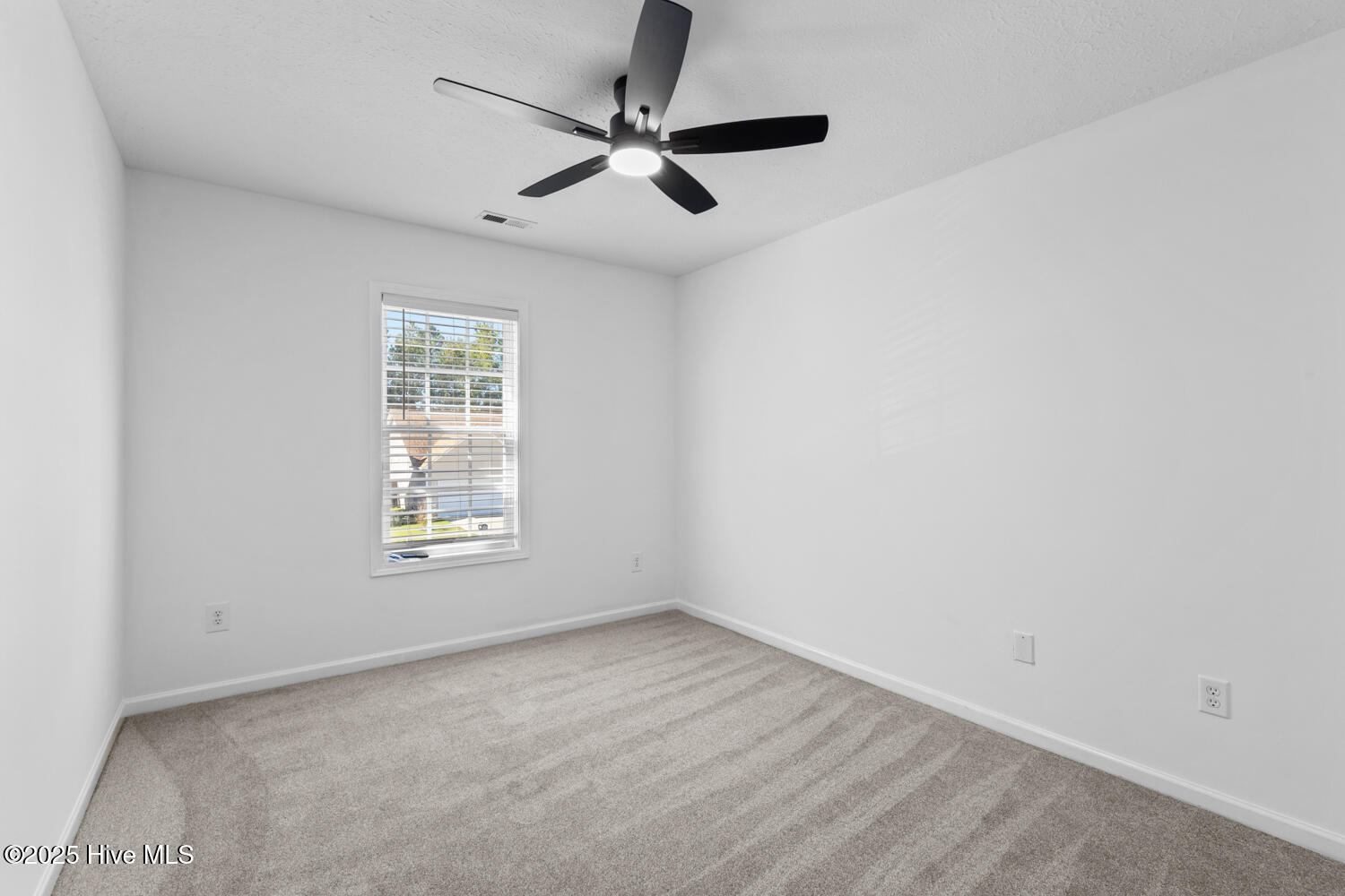 100536928 | Photo 30