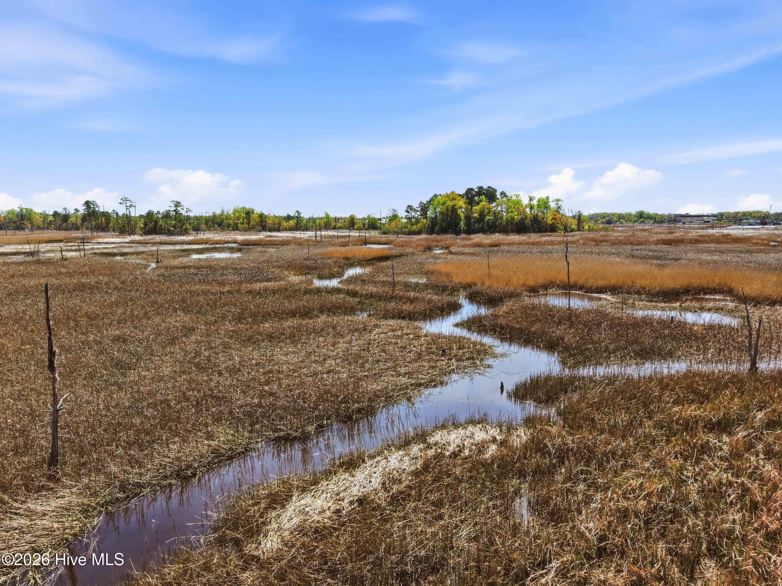 100562614 | Photo 12