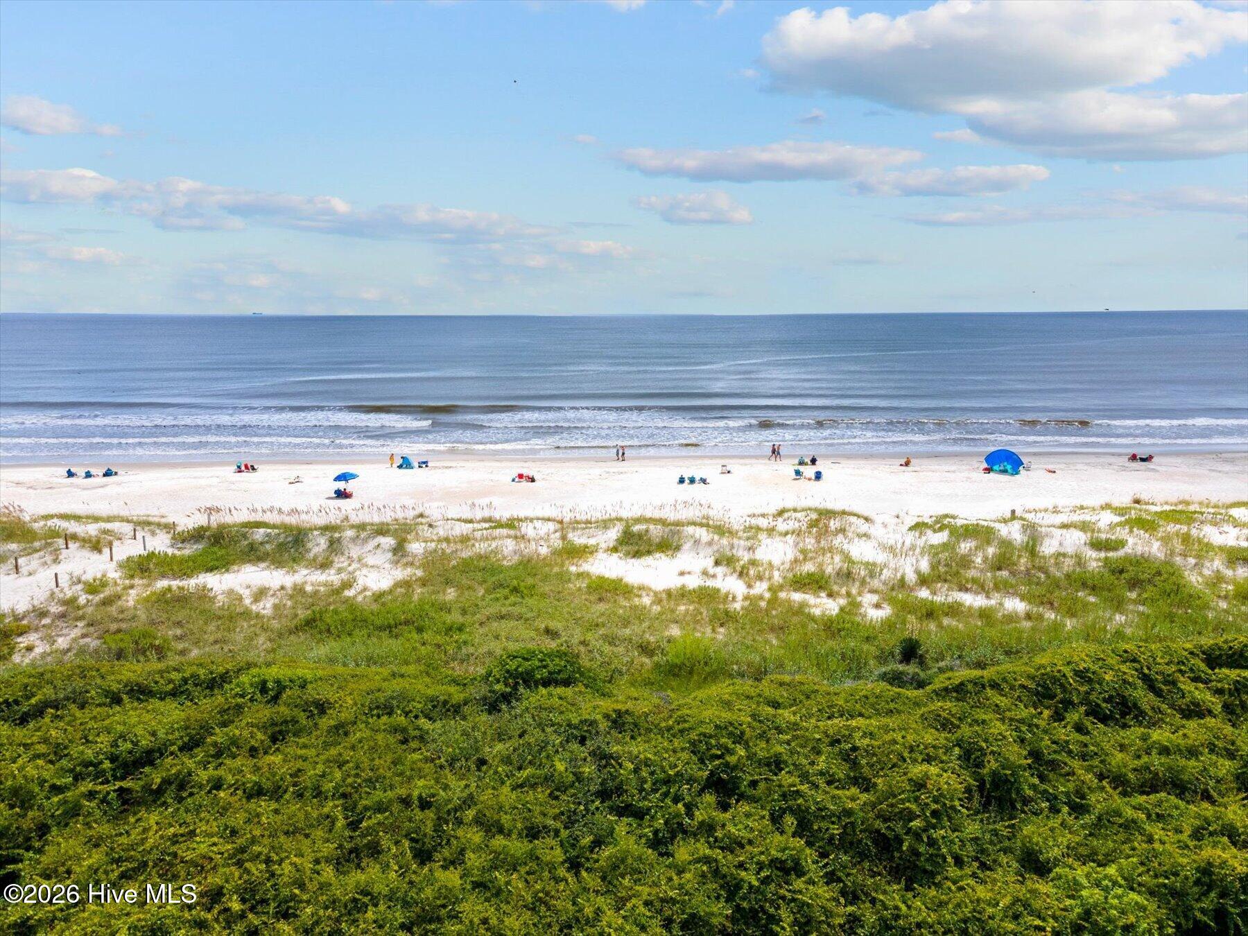 100564383 | Photo 60