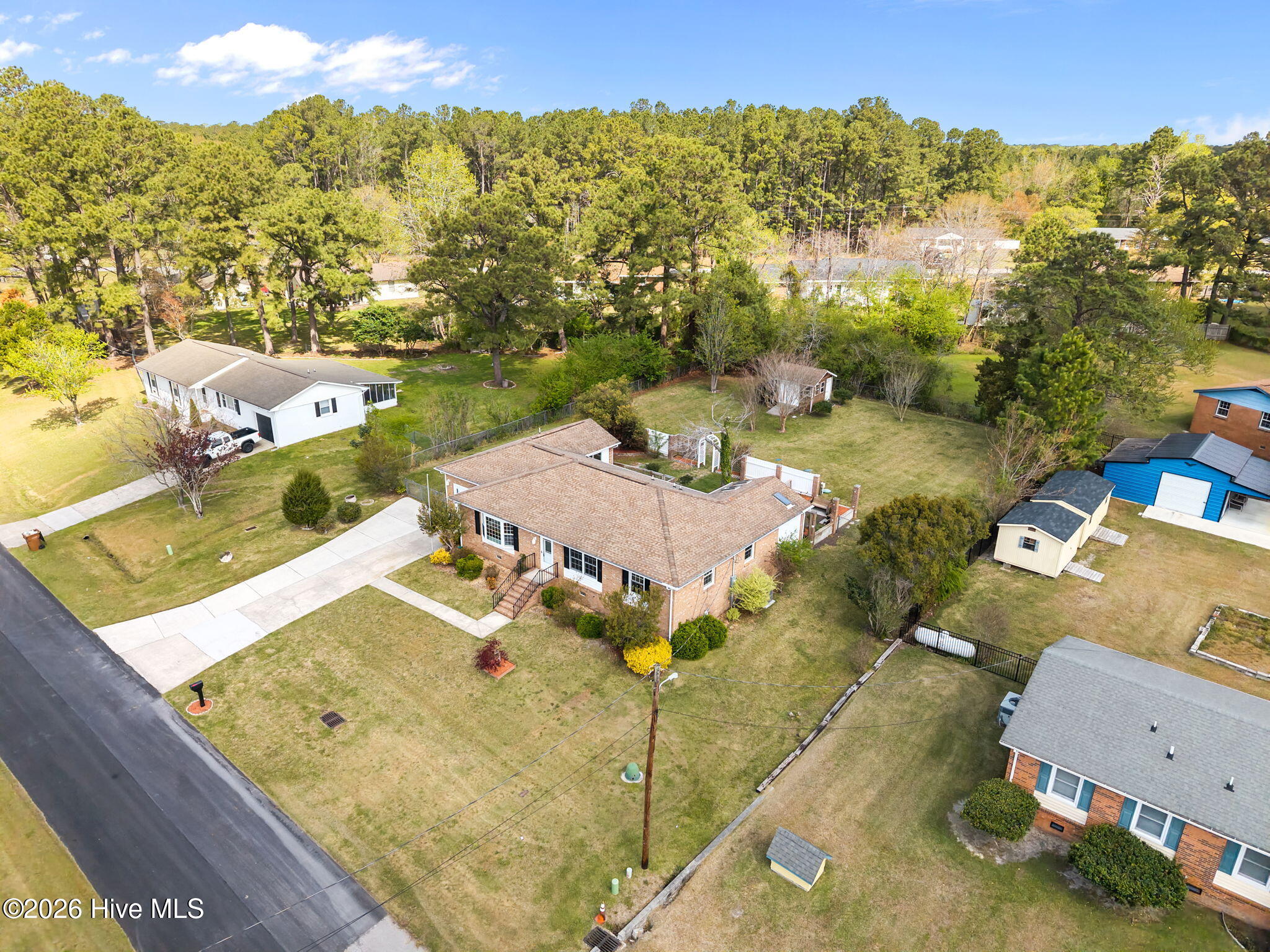 100564387 | Photo 50