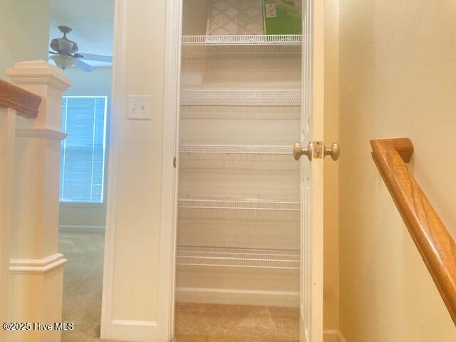 100517374 | Photo 25