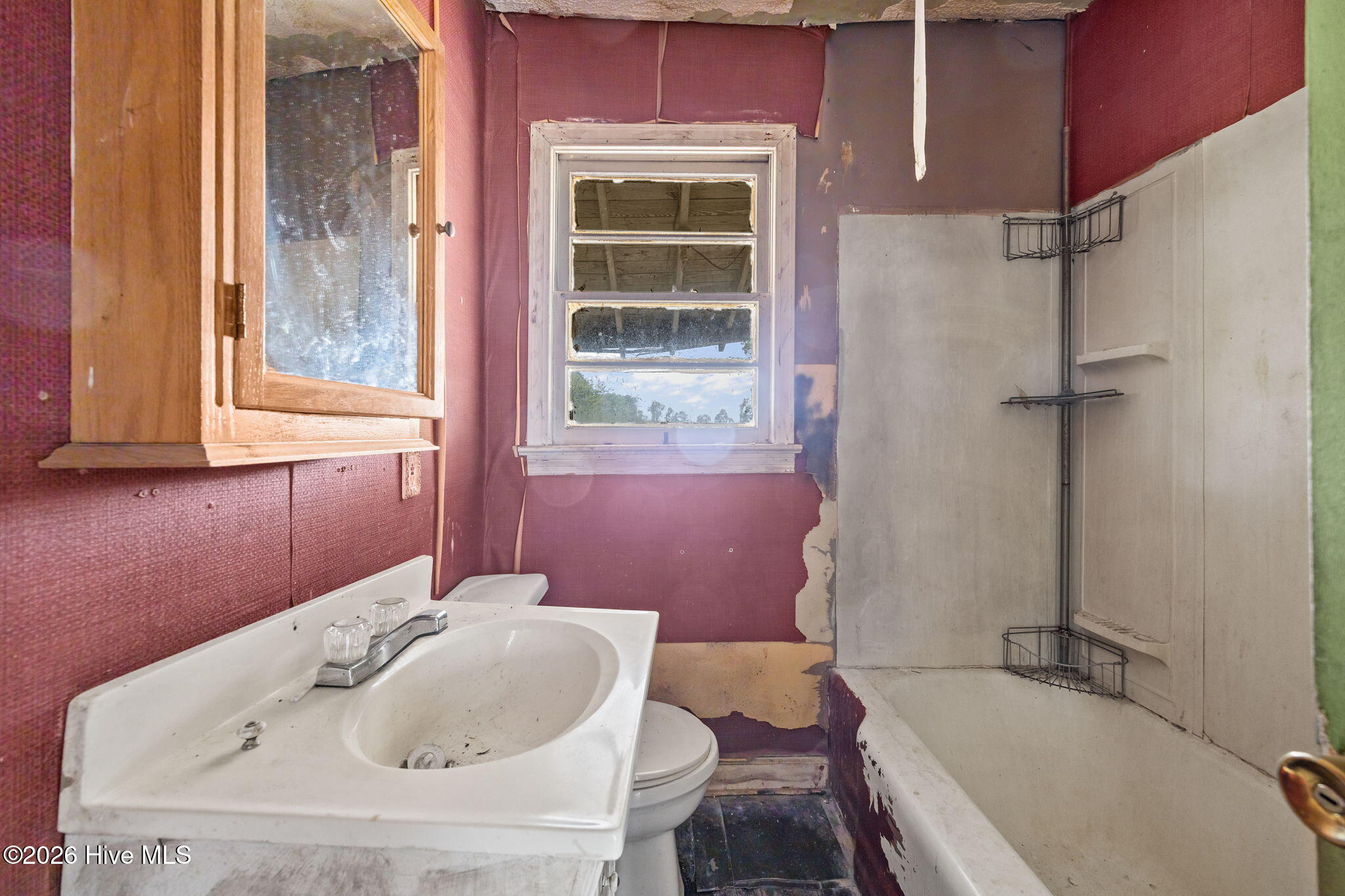 100565134 | Photo 22