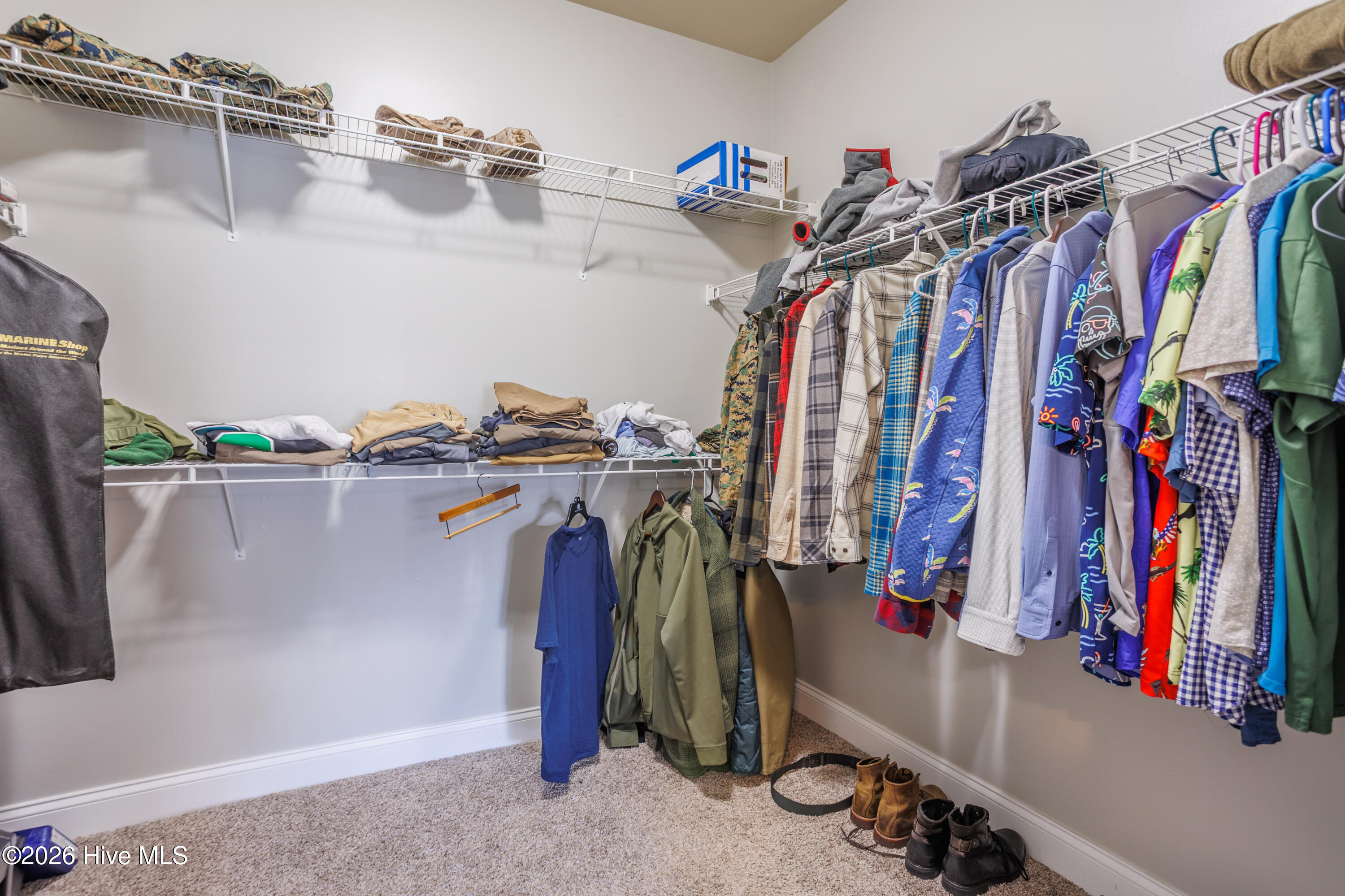 100550951 | Photo 13