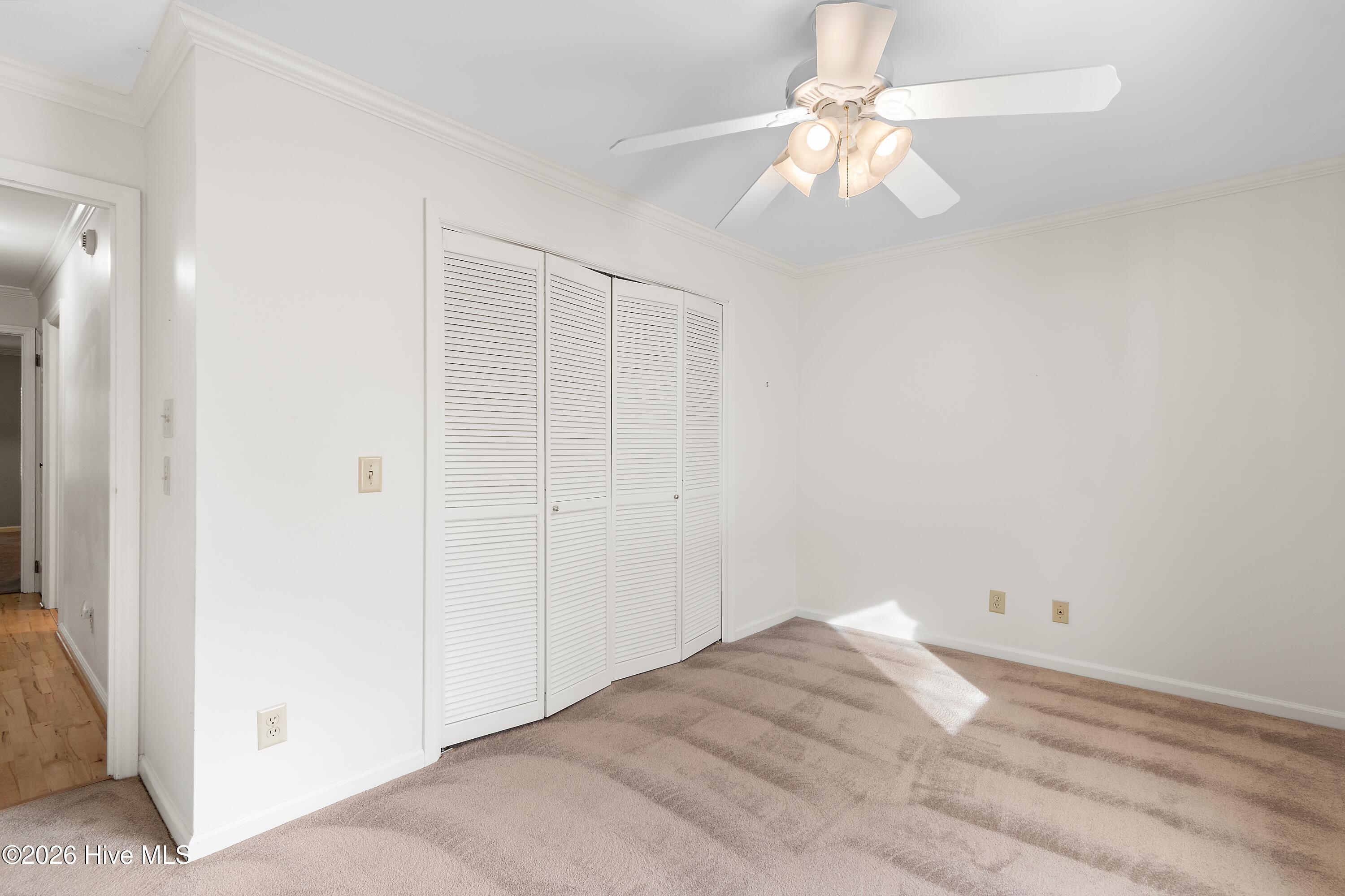 100549008 | Photo 28