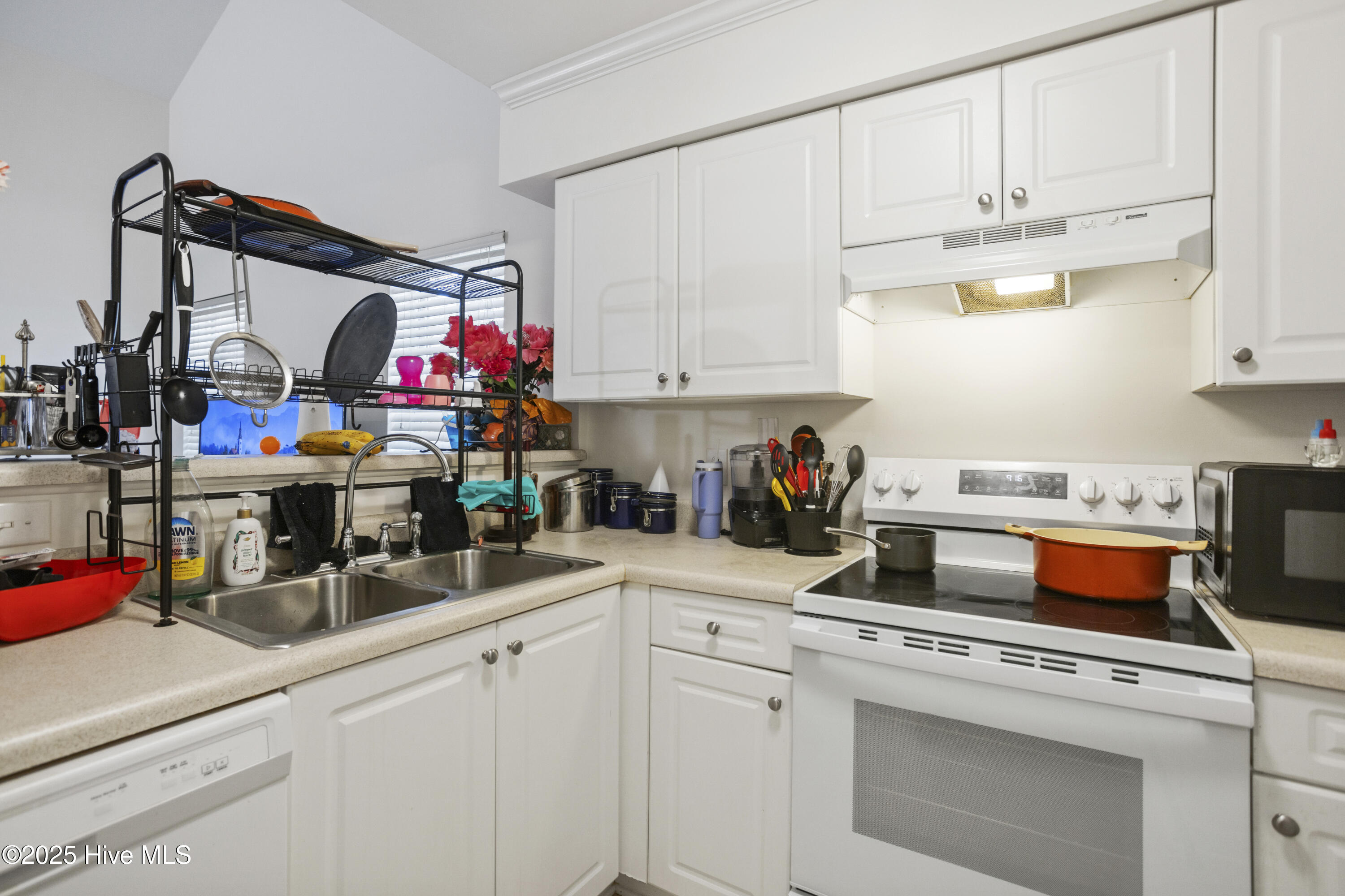 100496889 | Photo 18