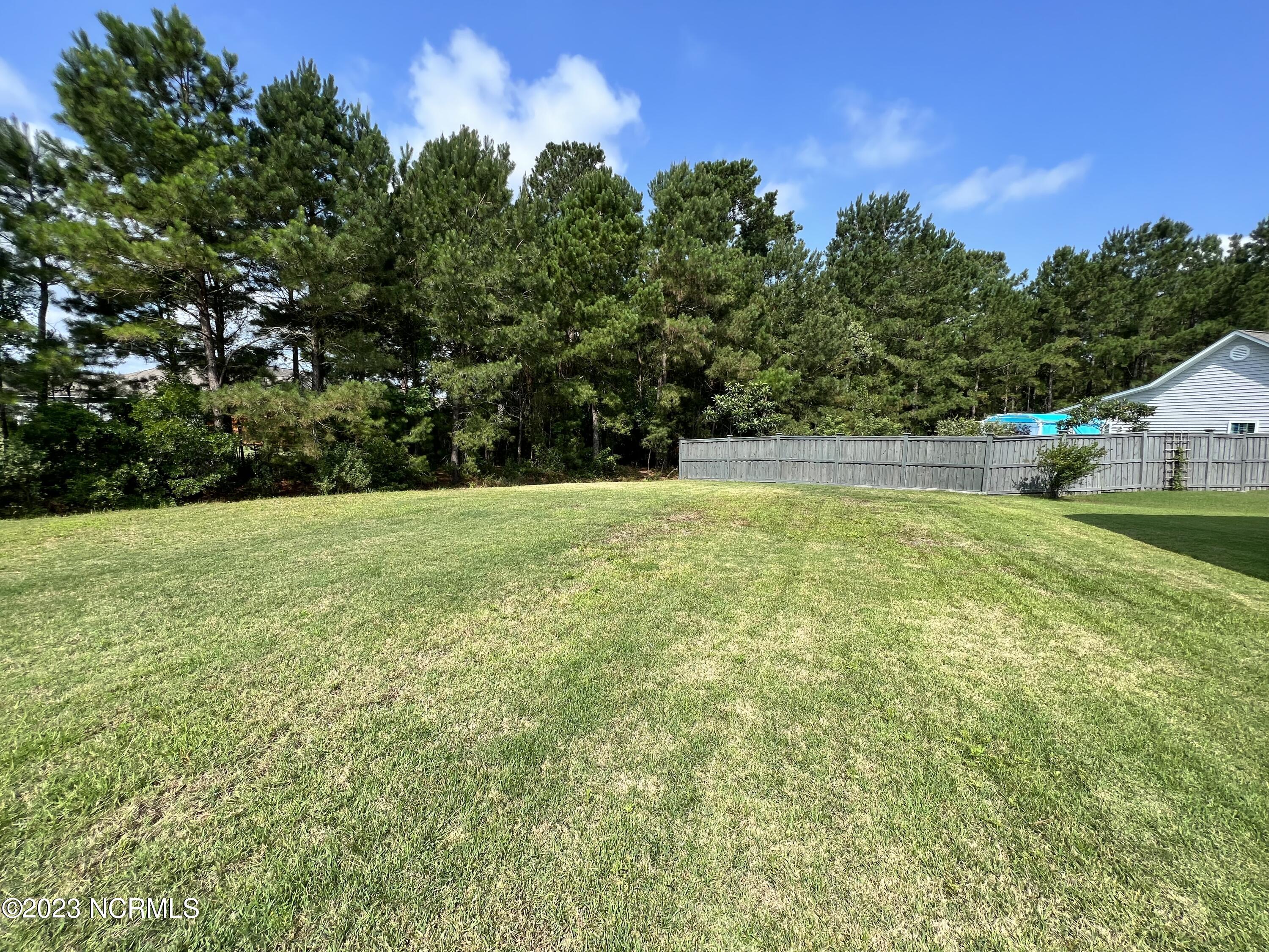 100559213 | Photo 22