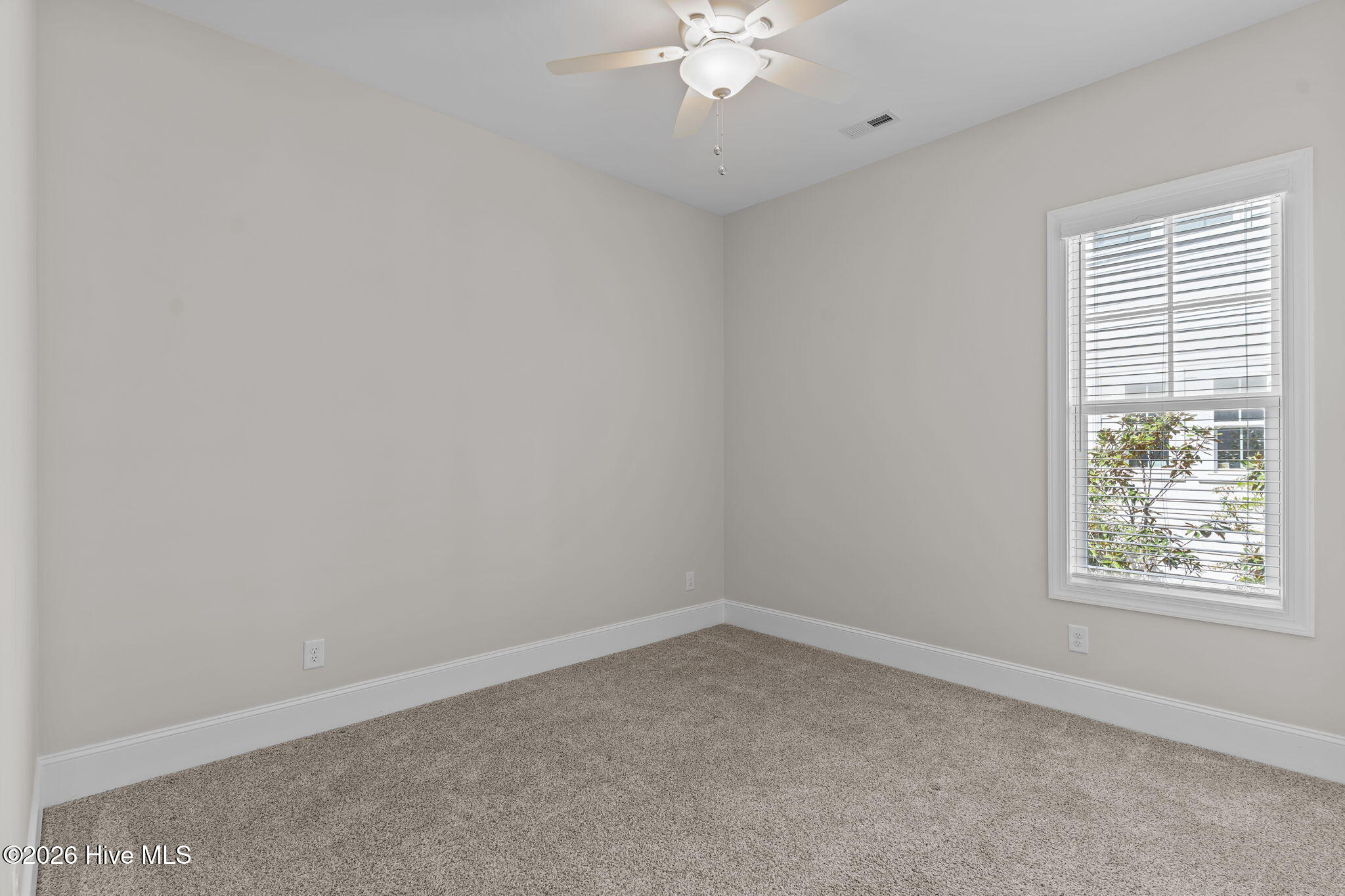 100568555 | Photo 23