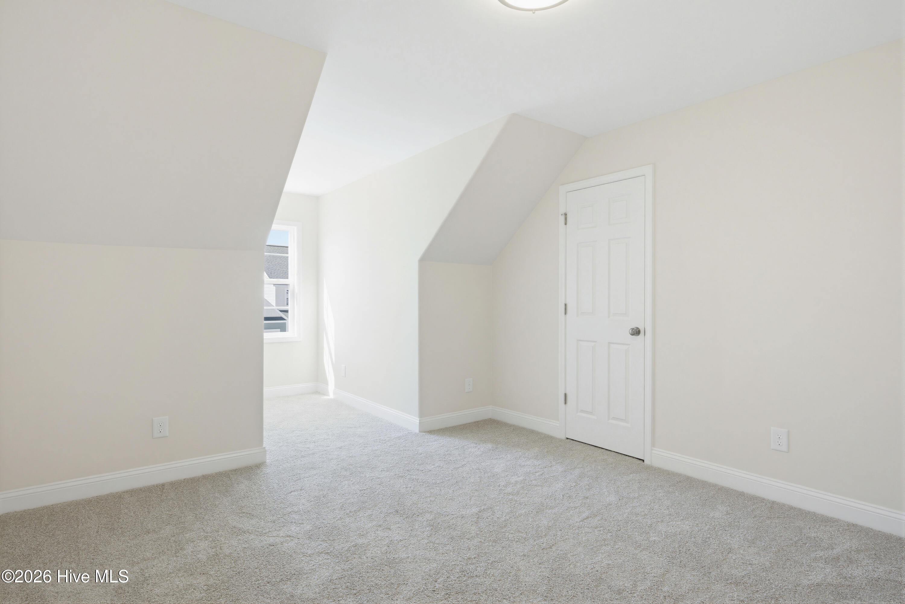 100567262 | Photo 19