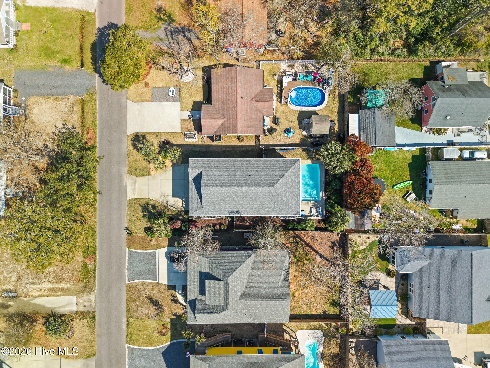 100563118 | Photo 61