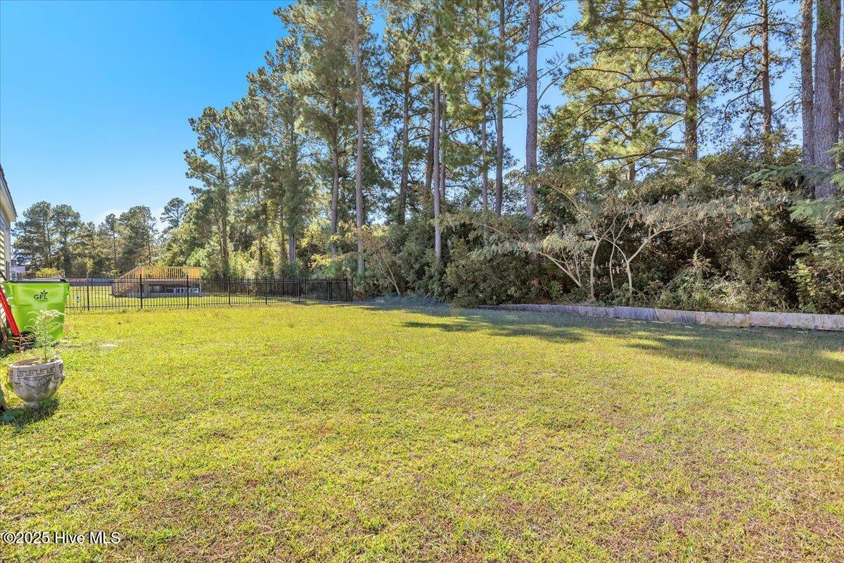 100538073 | Photo 36