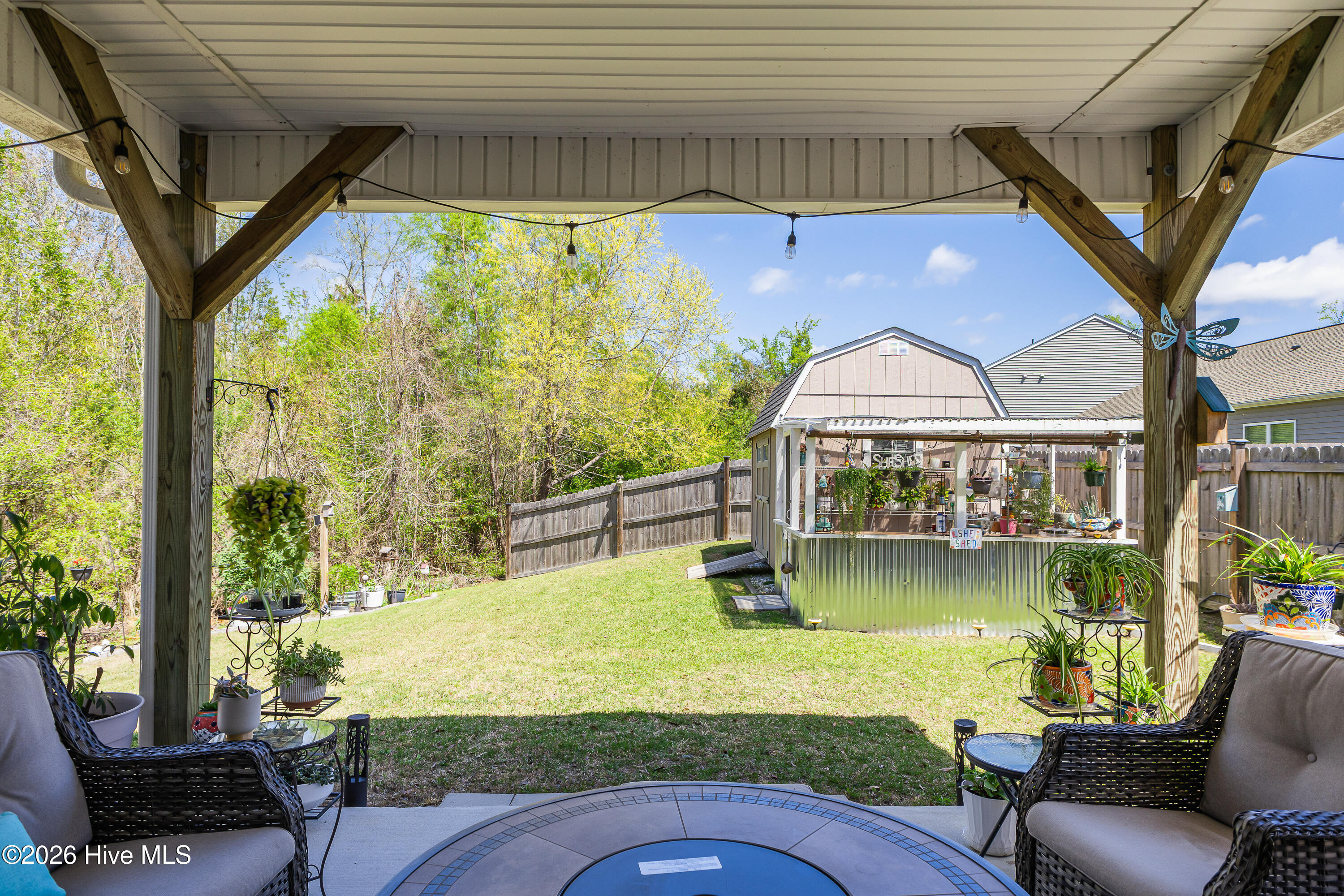 100565861 | Photo 60