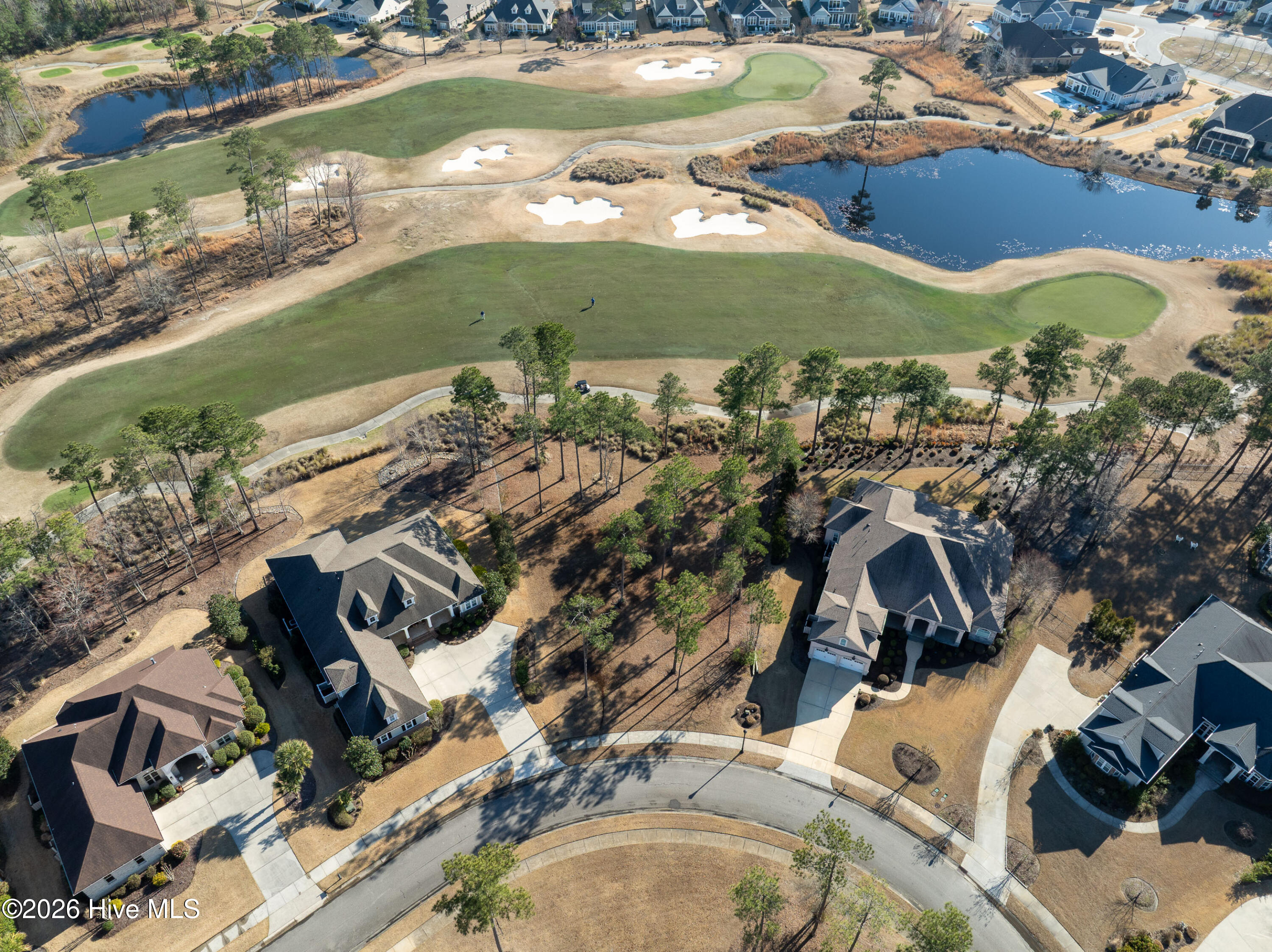 100557146 | Photo 16