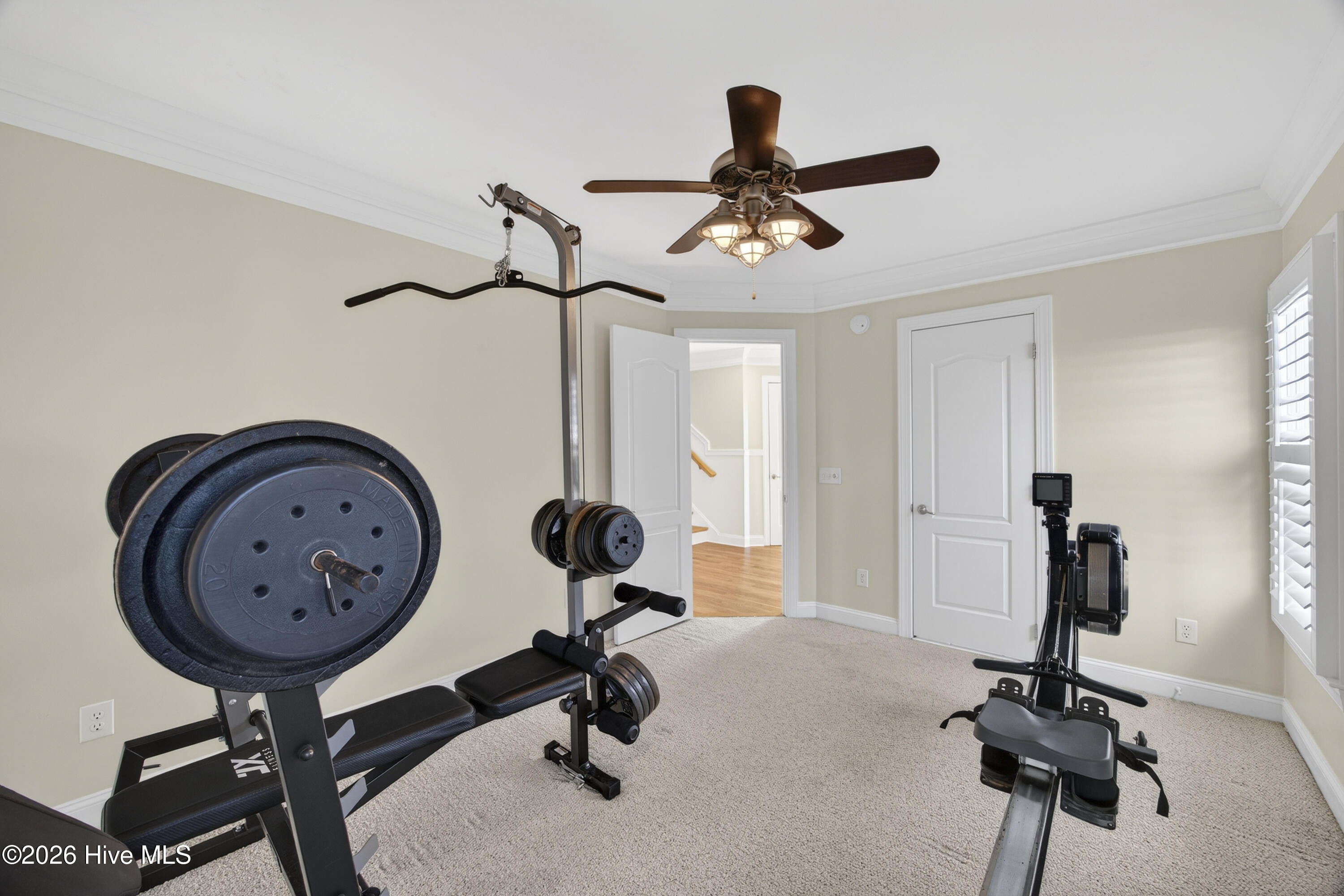 100554981 | Photo 103