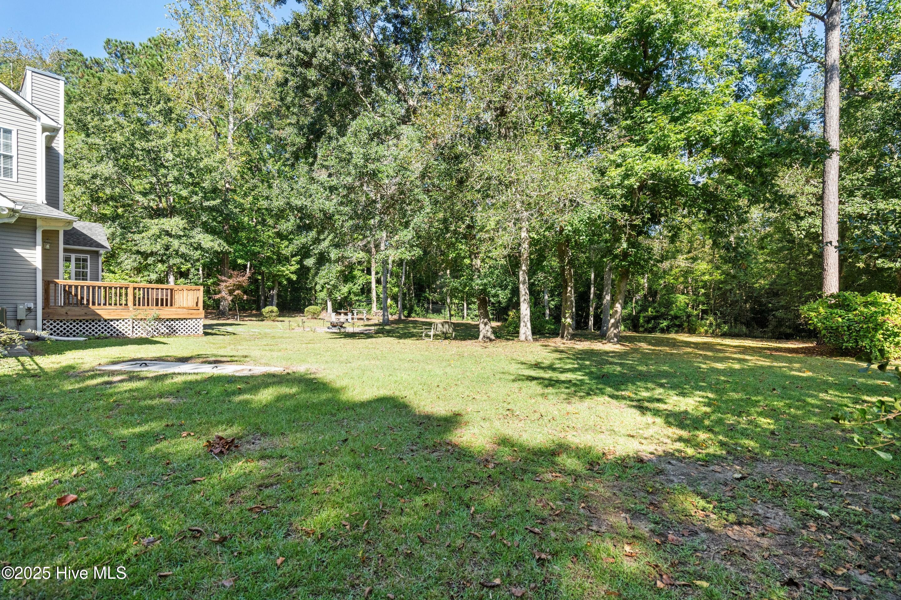 100537413 | Photo 46