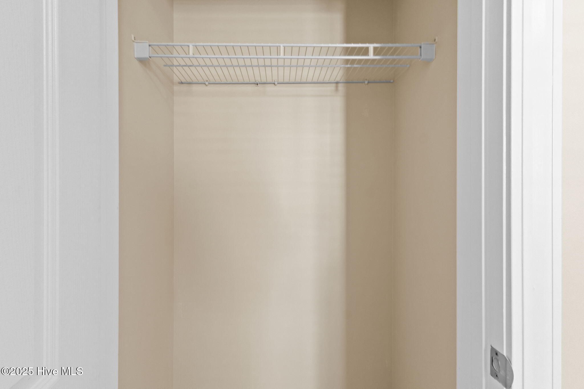 100496126 | Photo 36