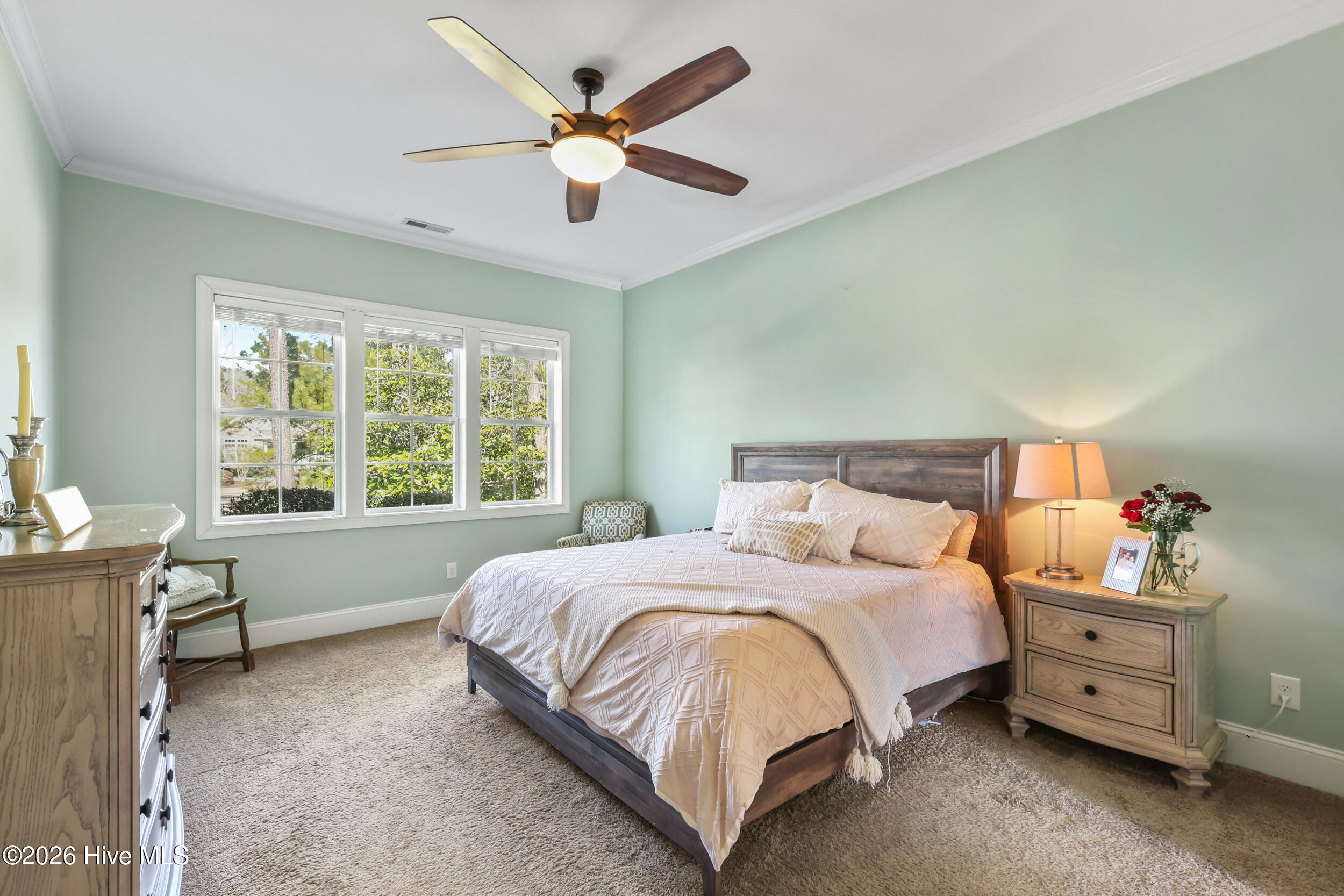 100554068 | Photo 28