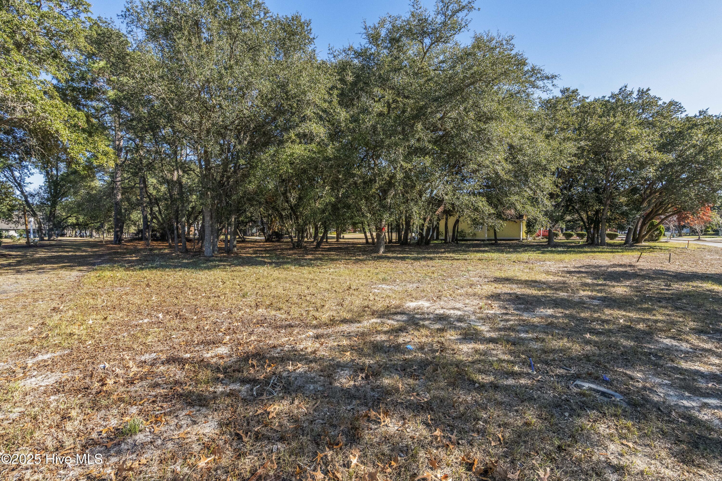 100545333 | Photo 14