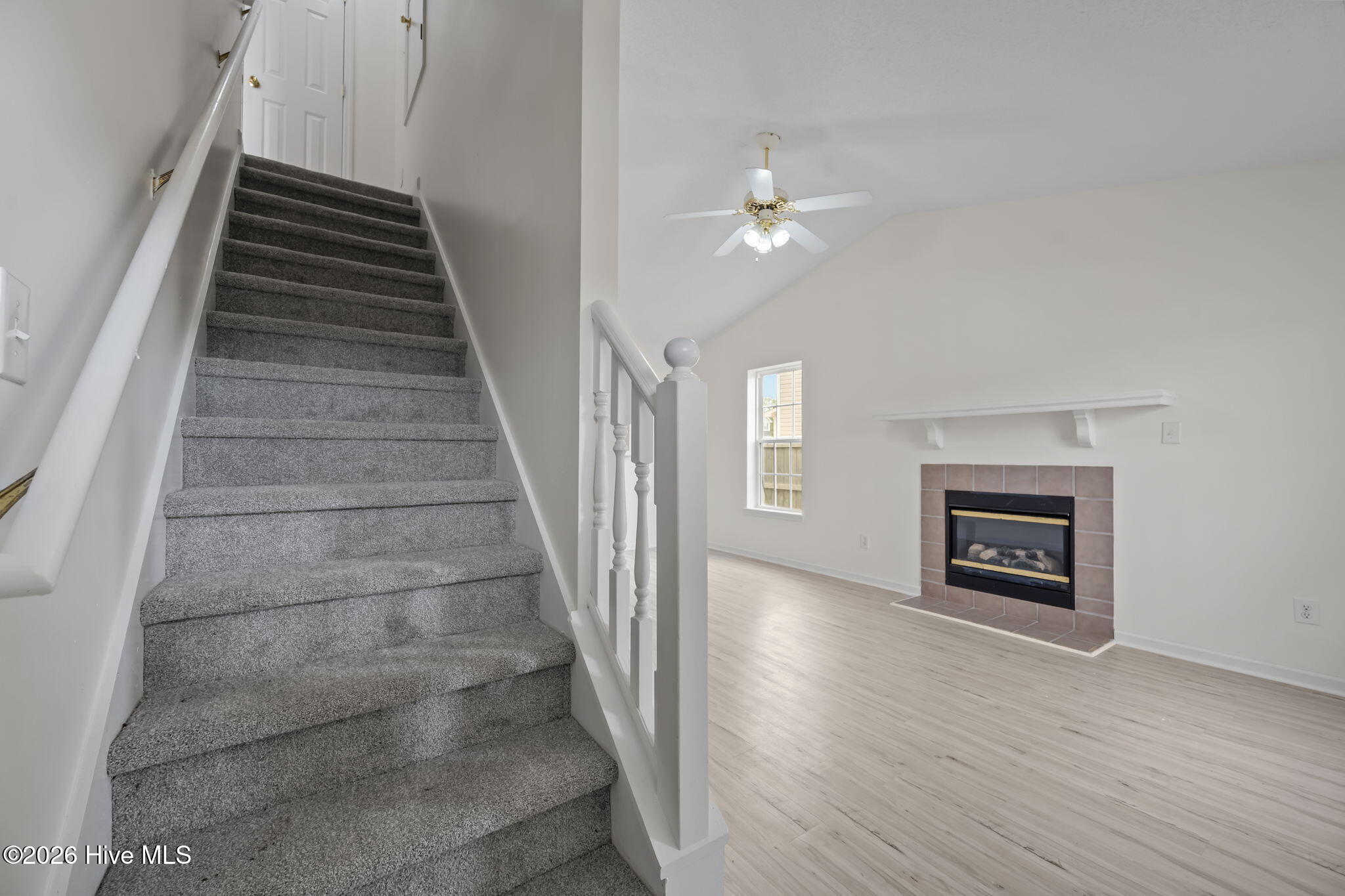 100562645 | Photo 21