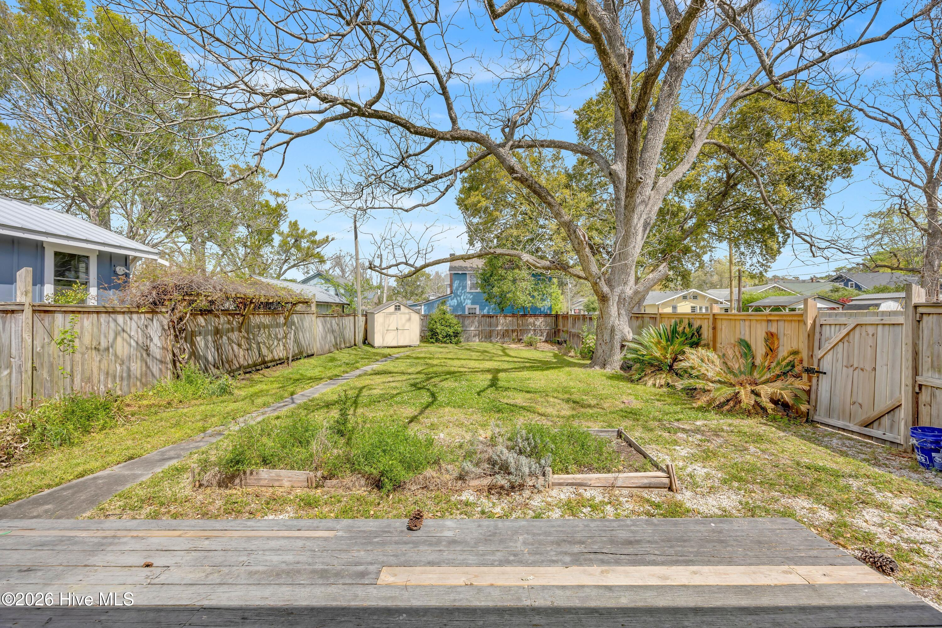 100565341 | Photo 25