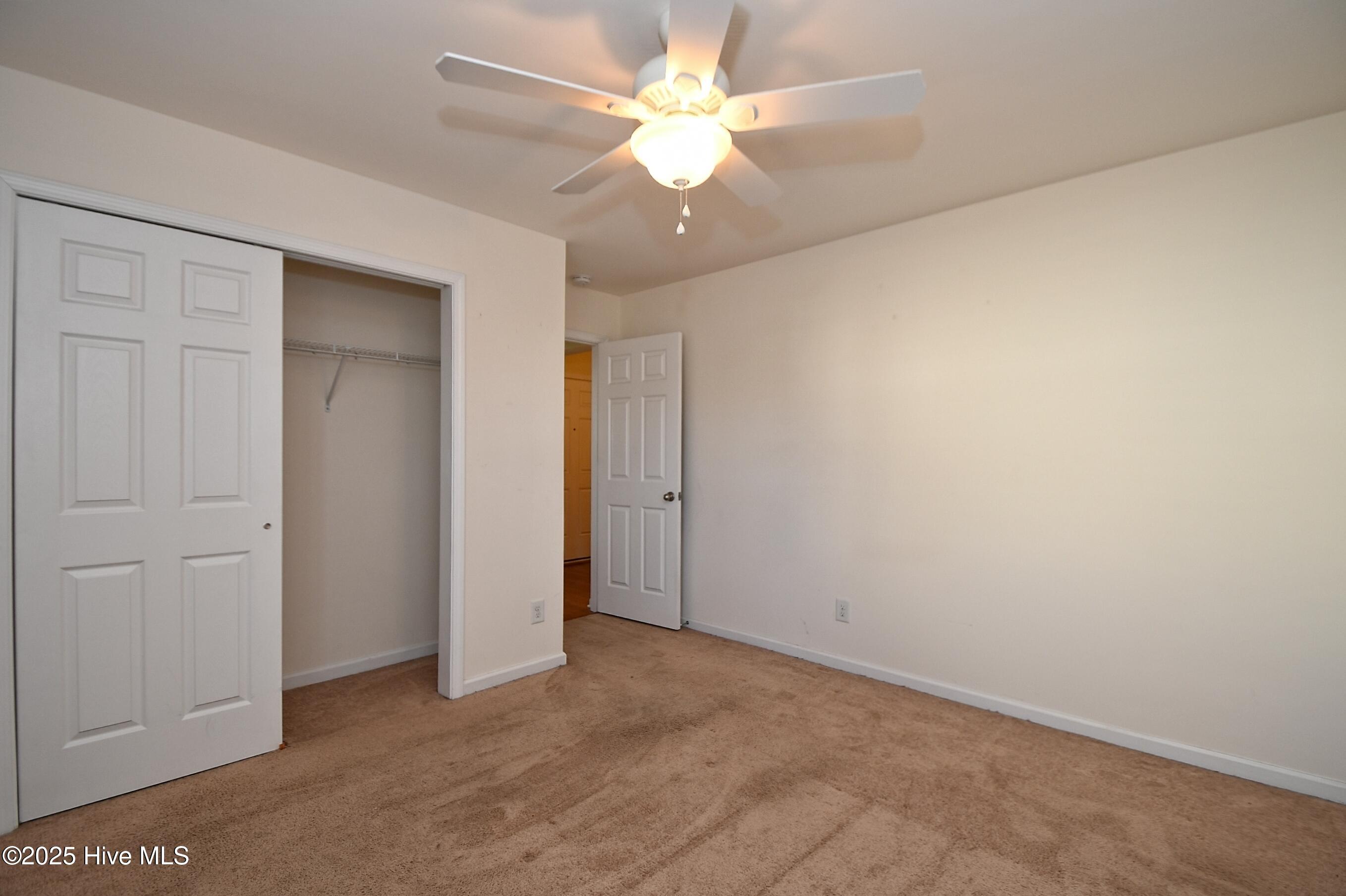 100538735 | Photo 12