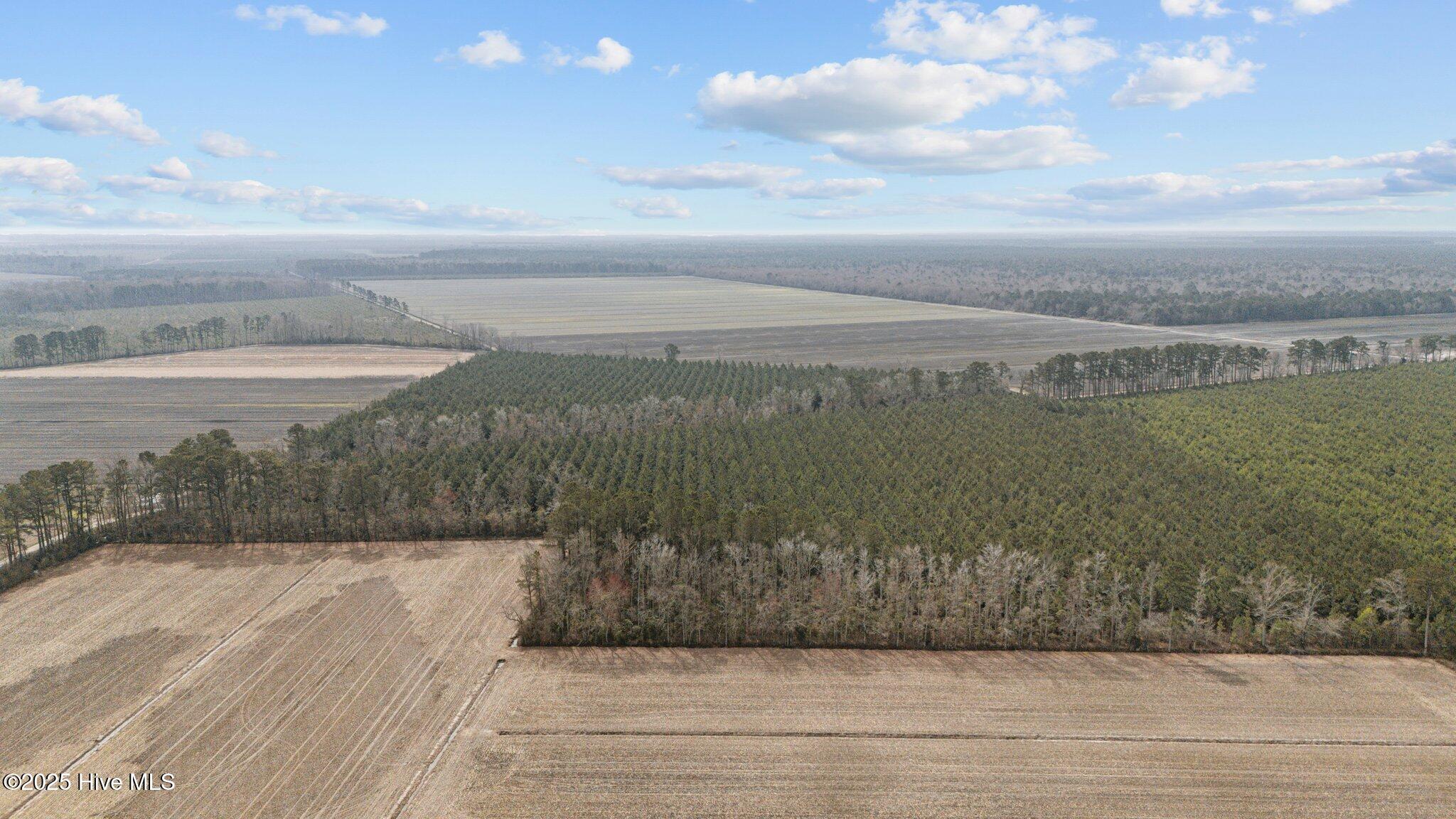 0 Neals Creek Road,Bayboro
