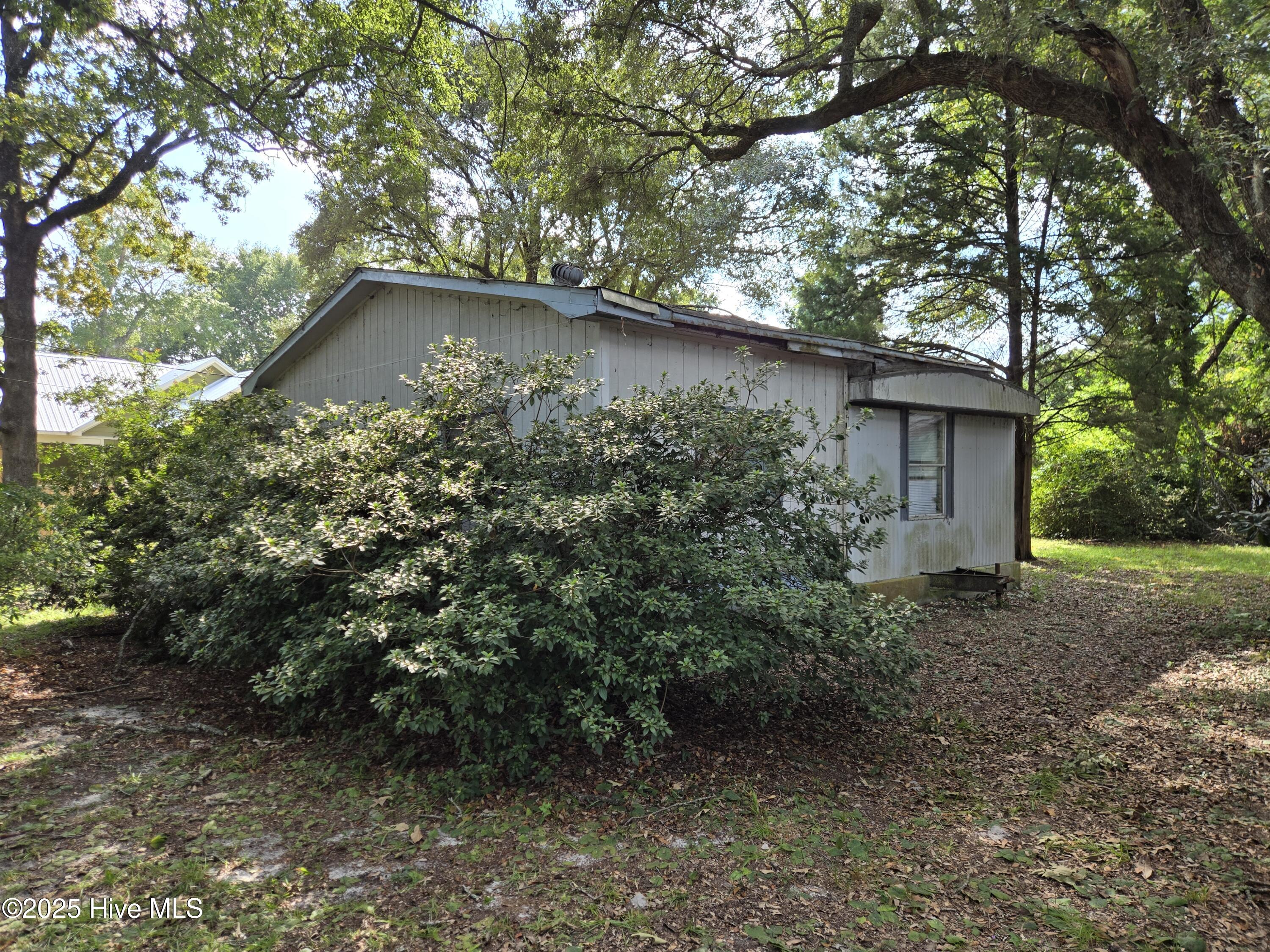 100531418 | Photo 25