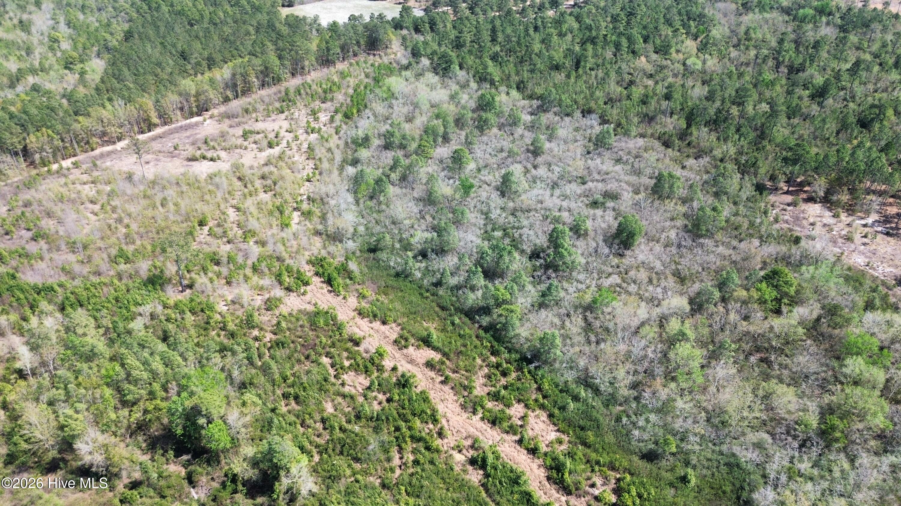 dji_fly_20260401_141740_7_1775096011165_