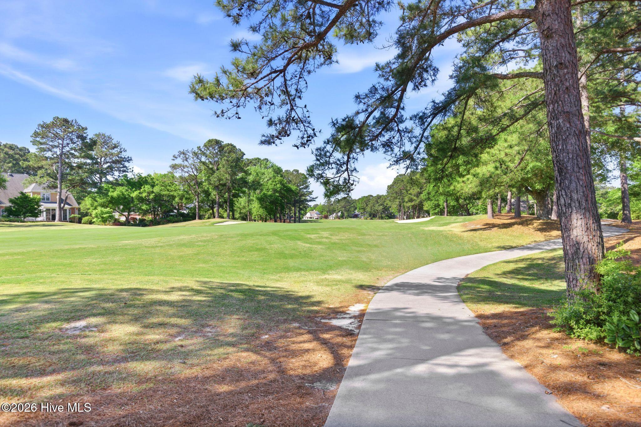 100567586 | Photo 43