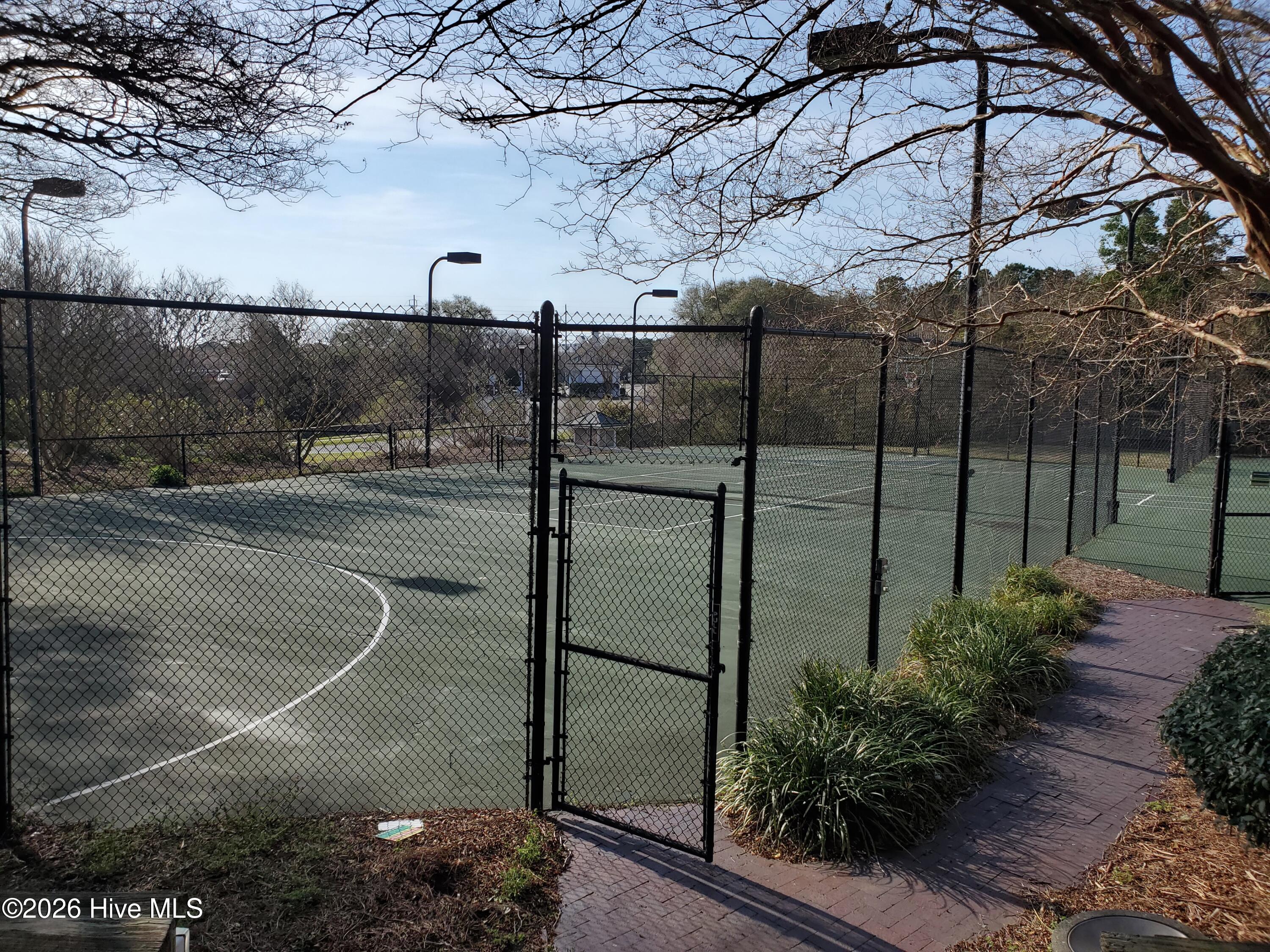 100560491 | Photo 61