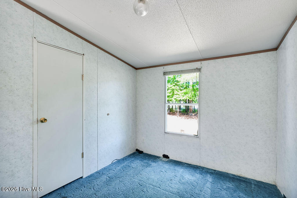 100569938 | Photo 28