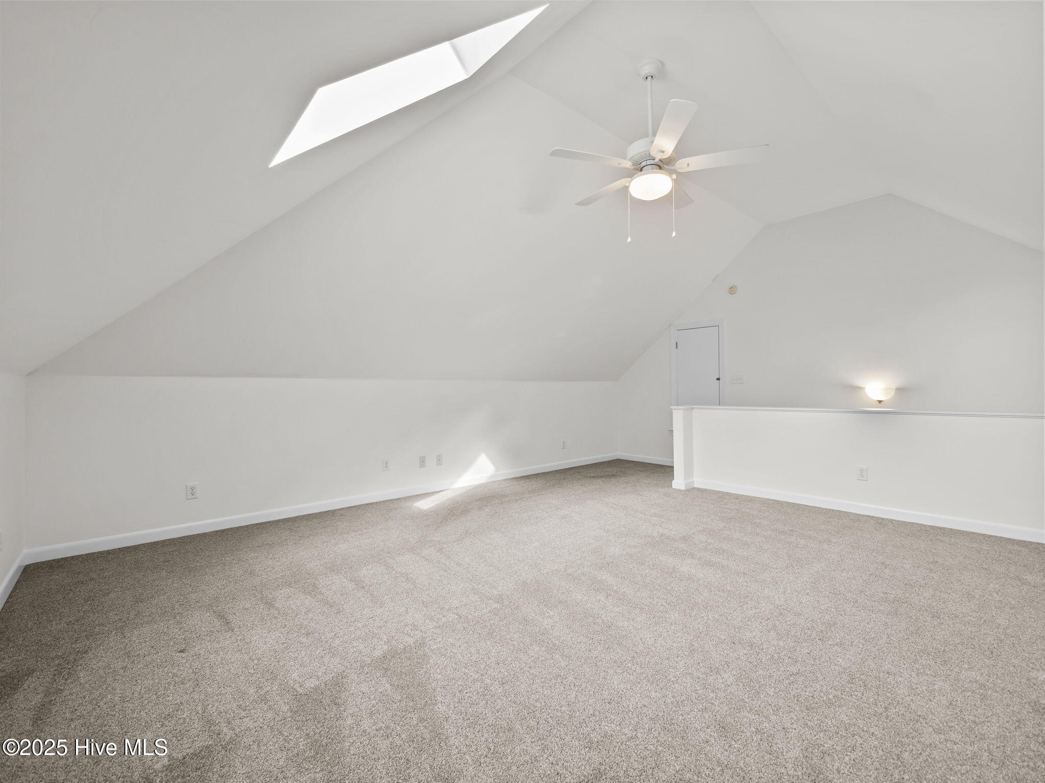 100519195 | Photo 25