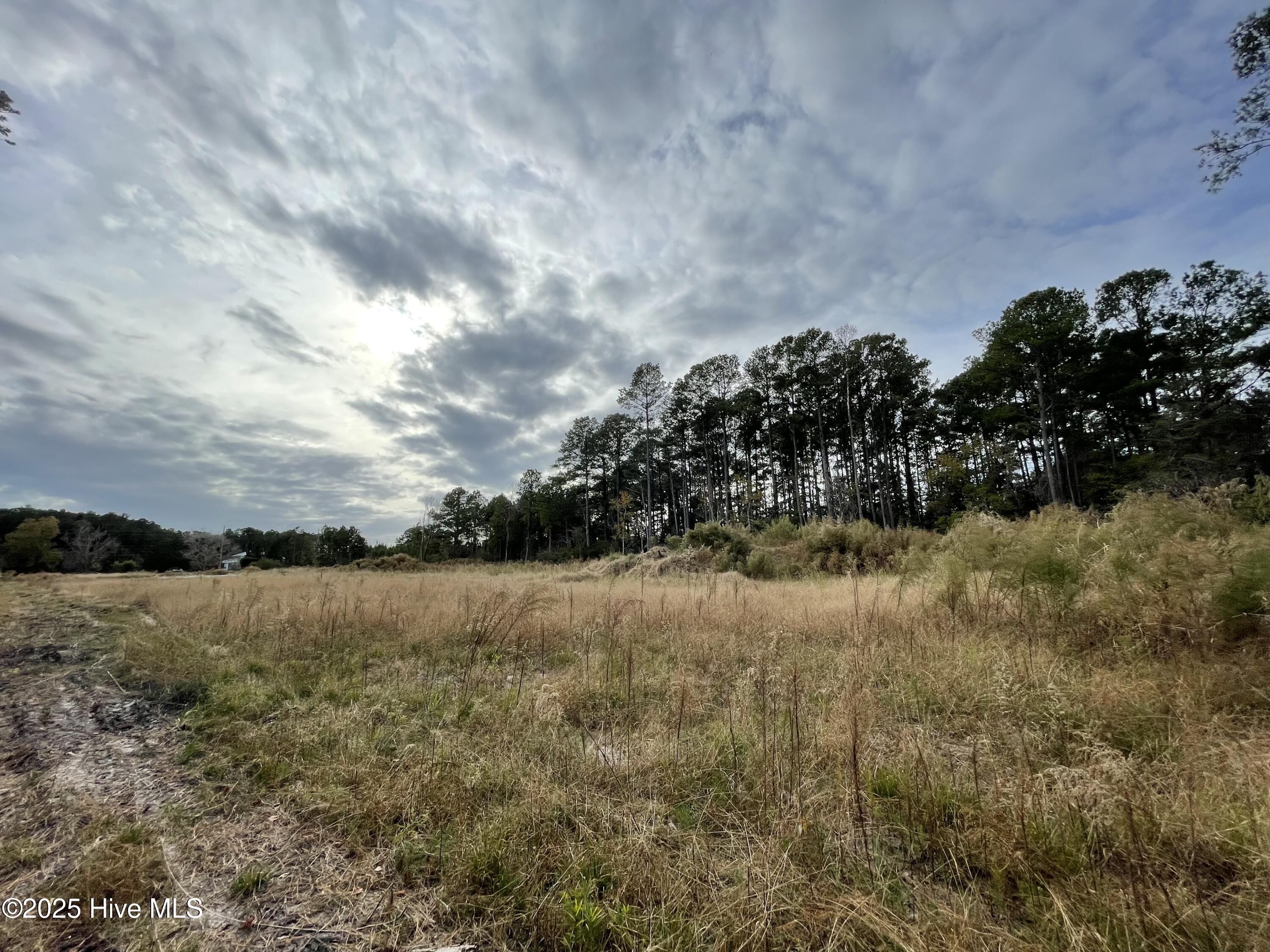 100496584 | Photo 22