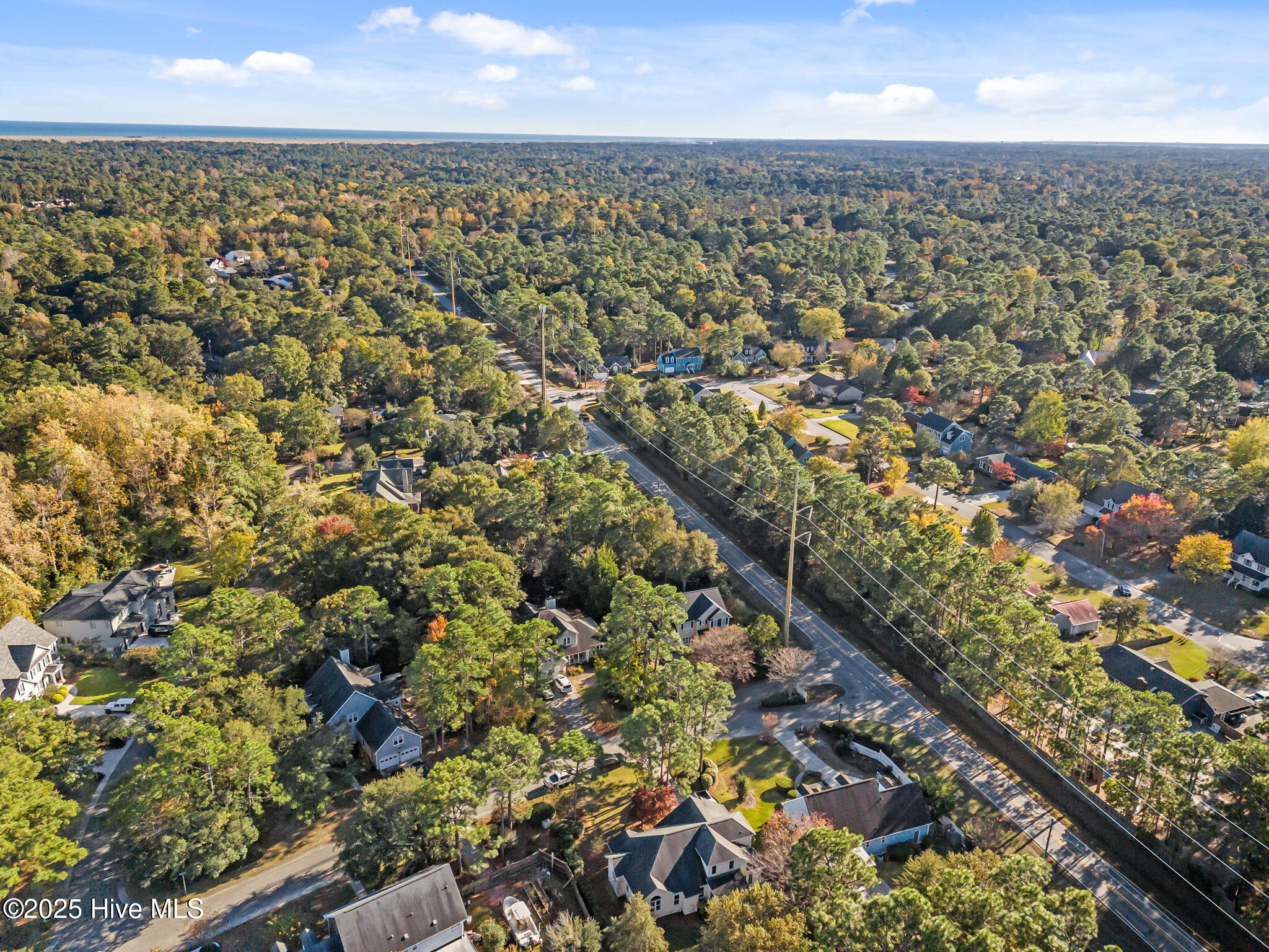 100539948 | Photo 52