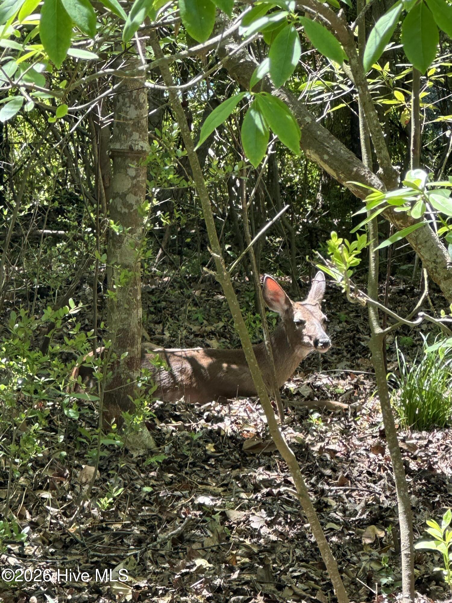 100569469 | Photo 60