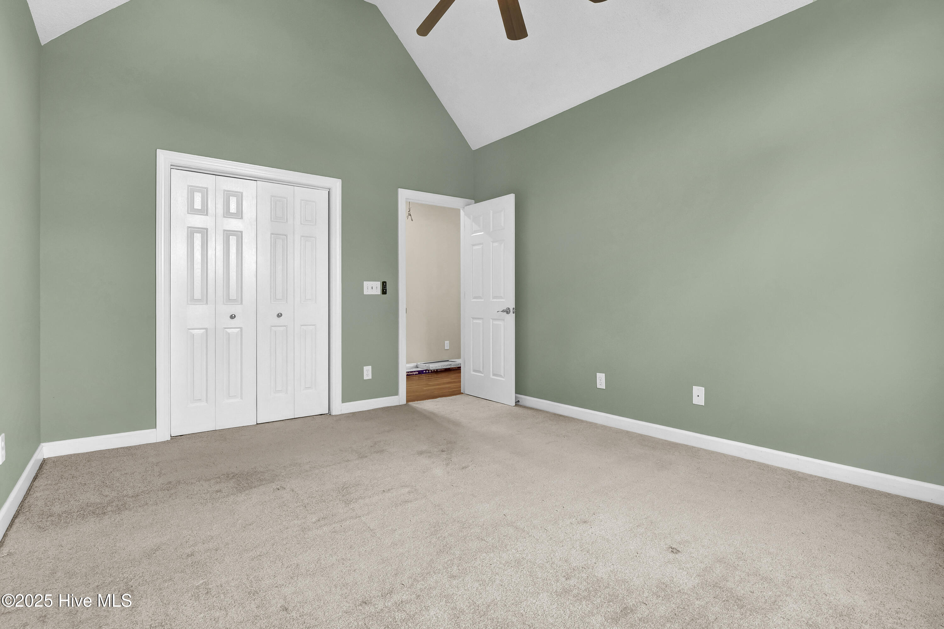 100543498 | Photo 39