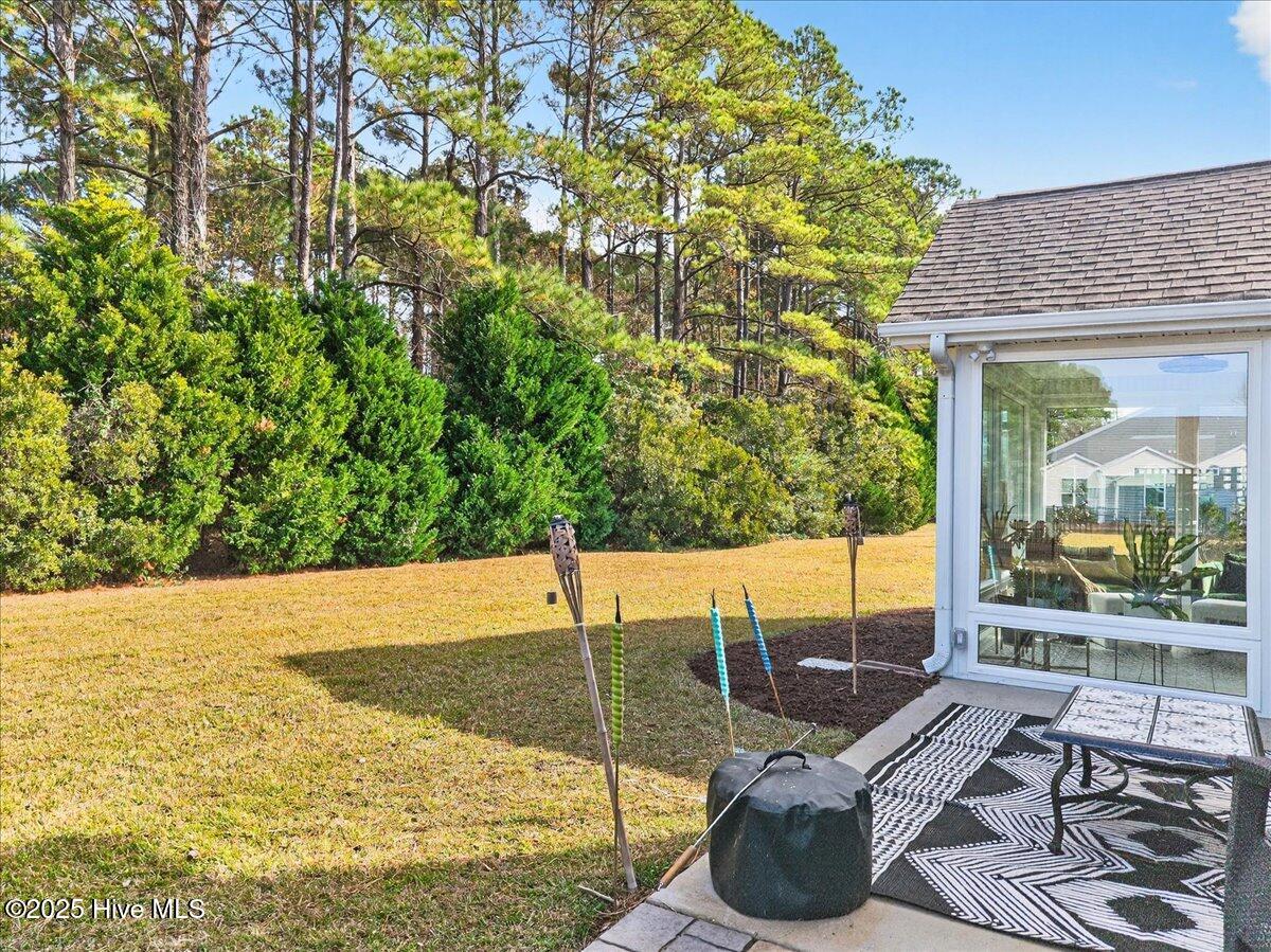 100543008 | Photo 38