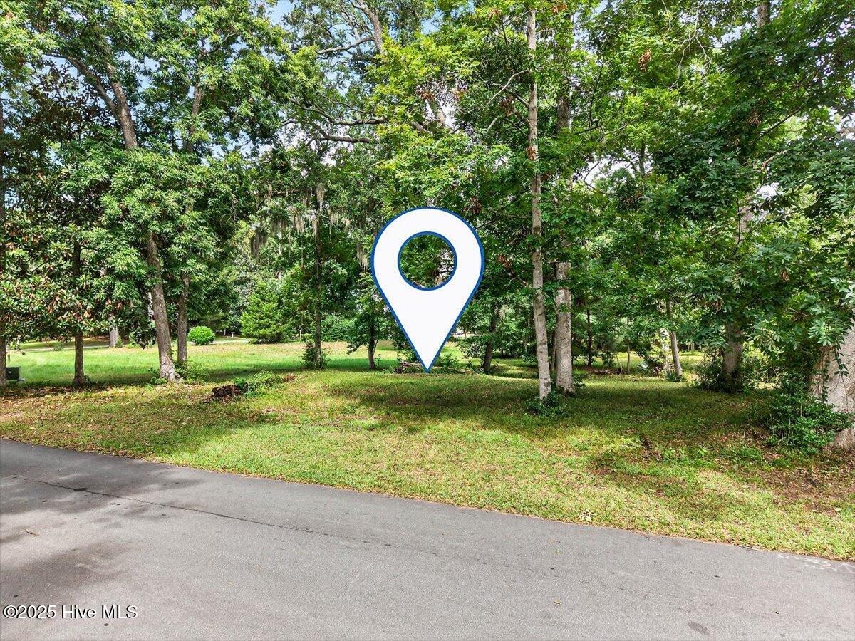 100481570 | Photo 10