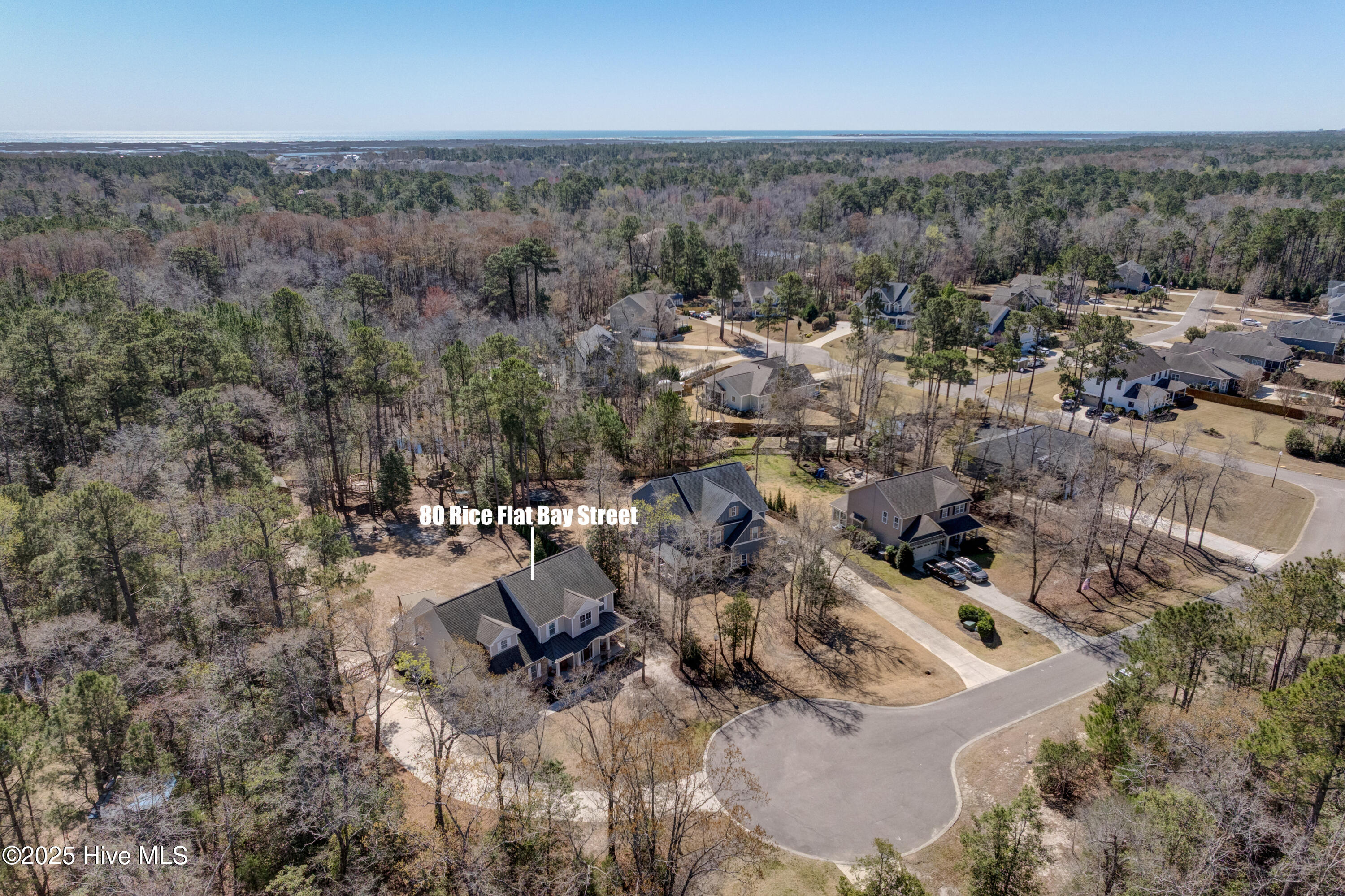 100496540 | Photo 91