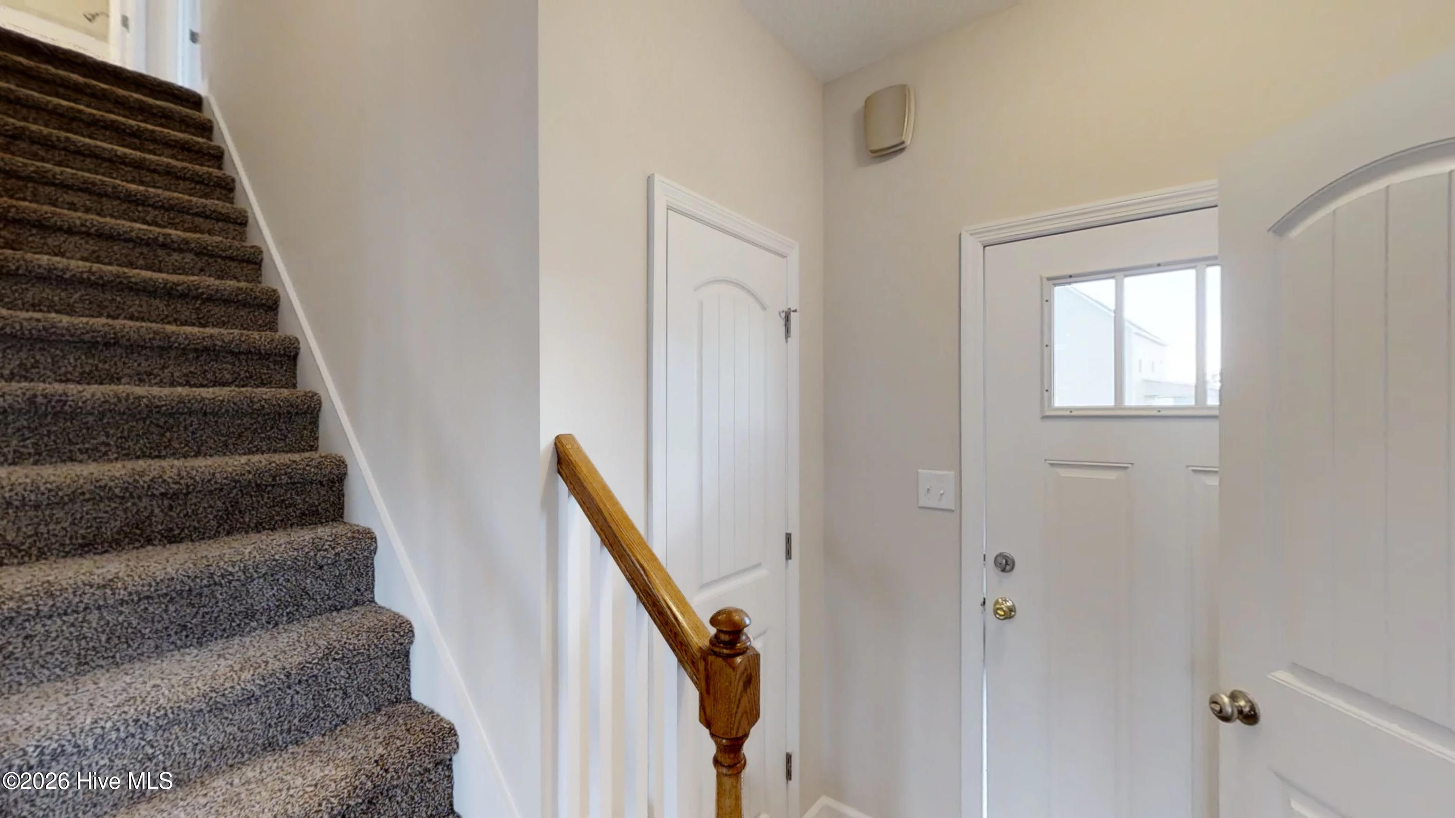 100563433 | Photo 11