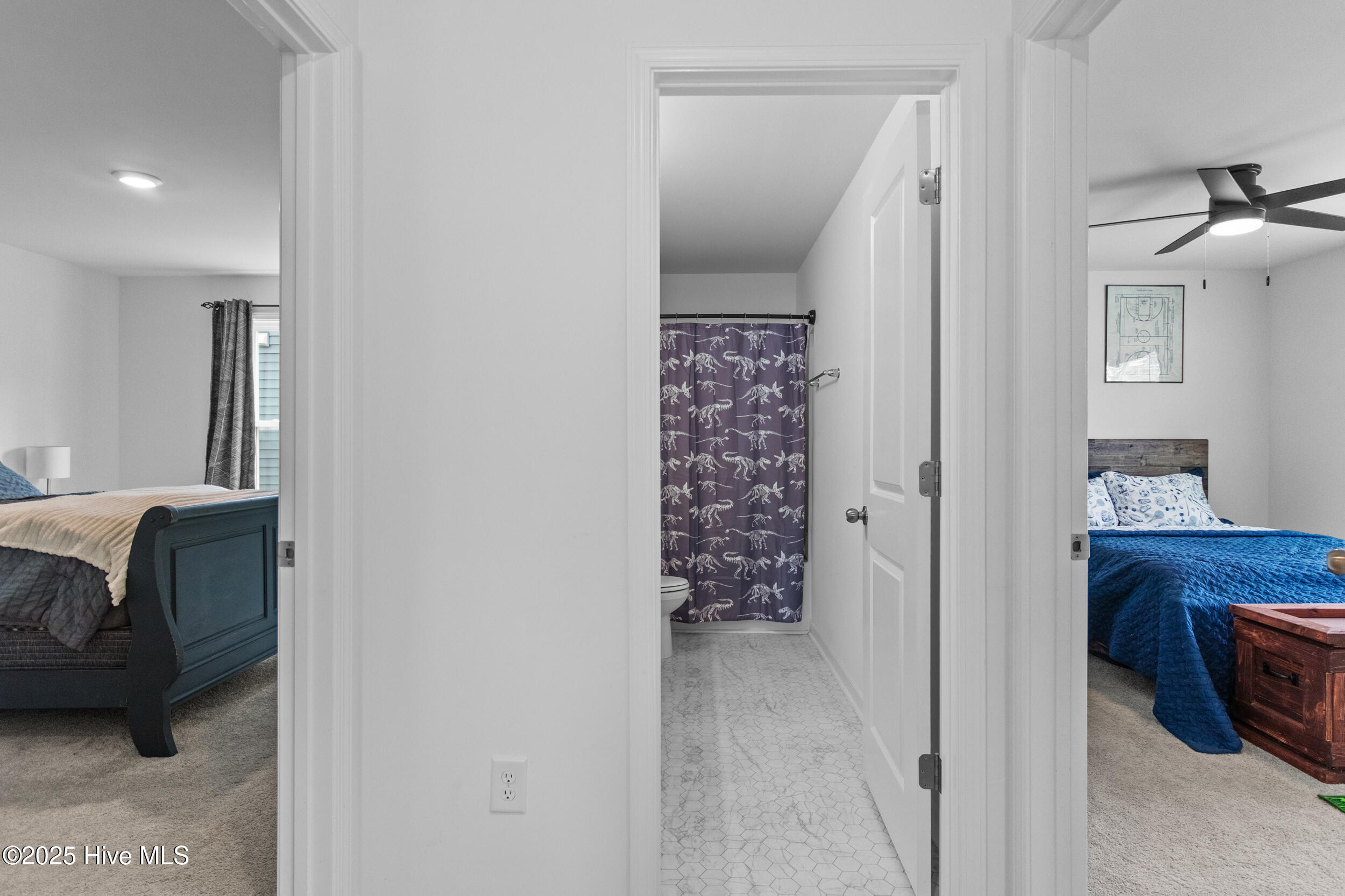 100524281 | Photo 35