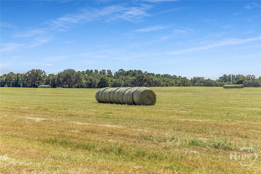 1110 W US Hwy 280, Reidsville, GA, 30453